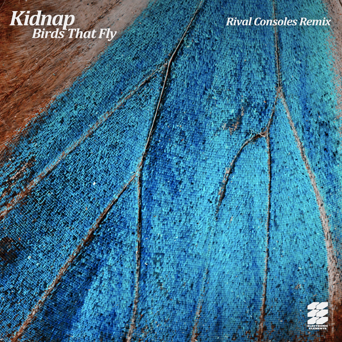 Birds That Fly - Rival Consoles Remix