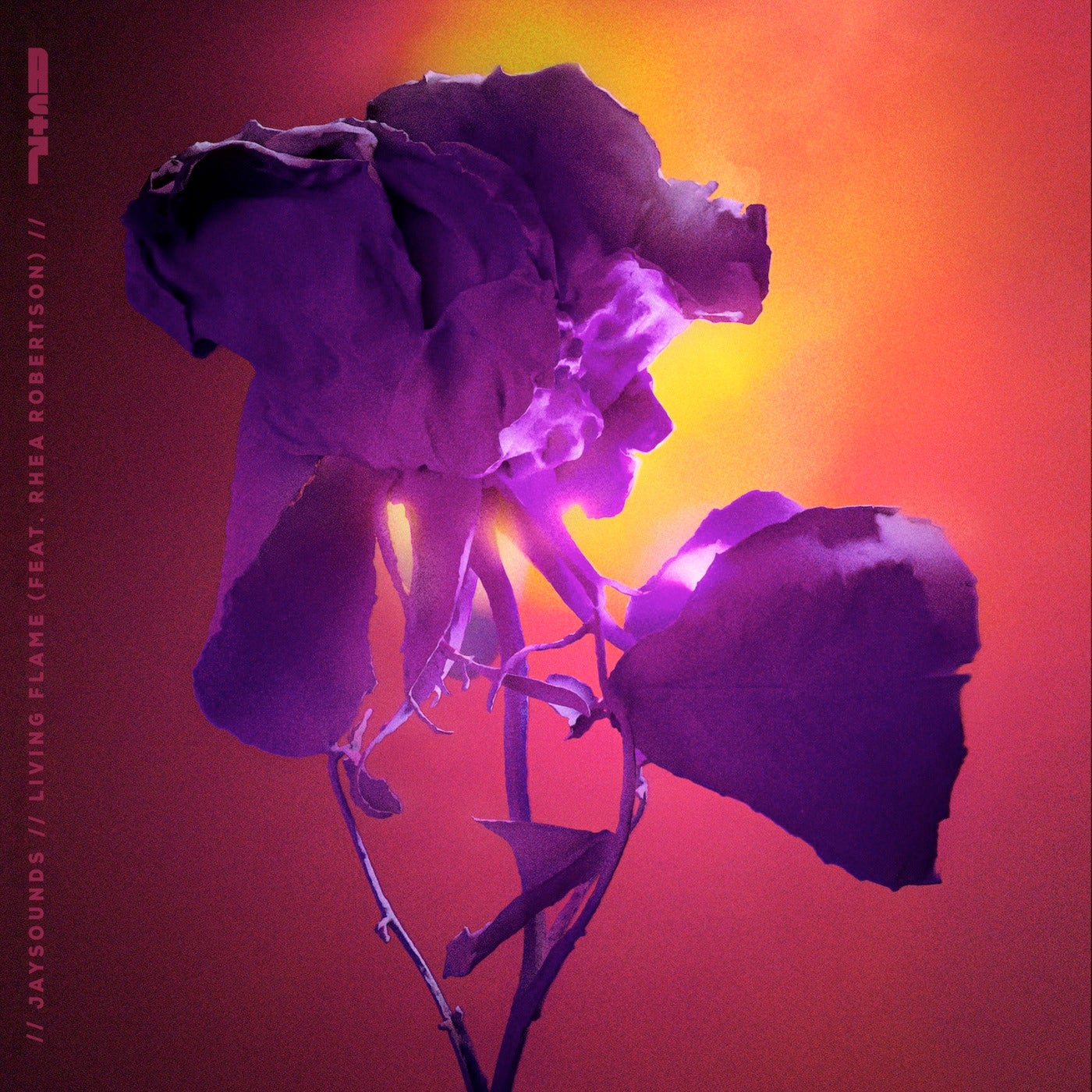 Living Flame [Extended Mix] (feat. Rhea Robertson)