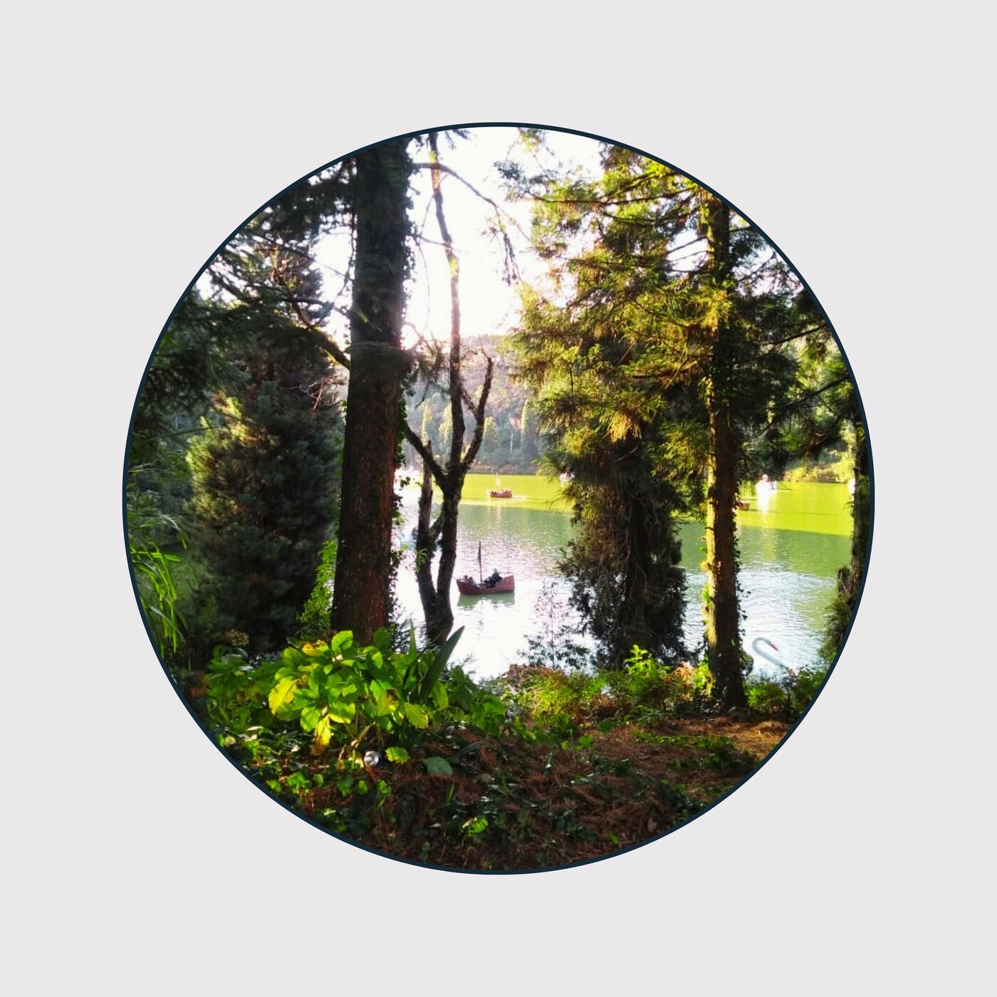 Lago Negro