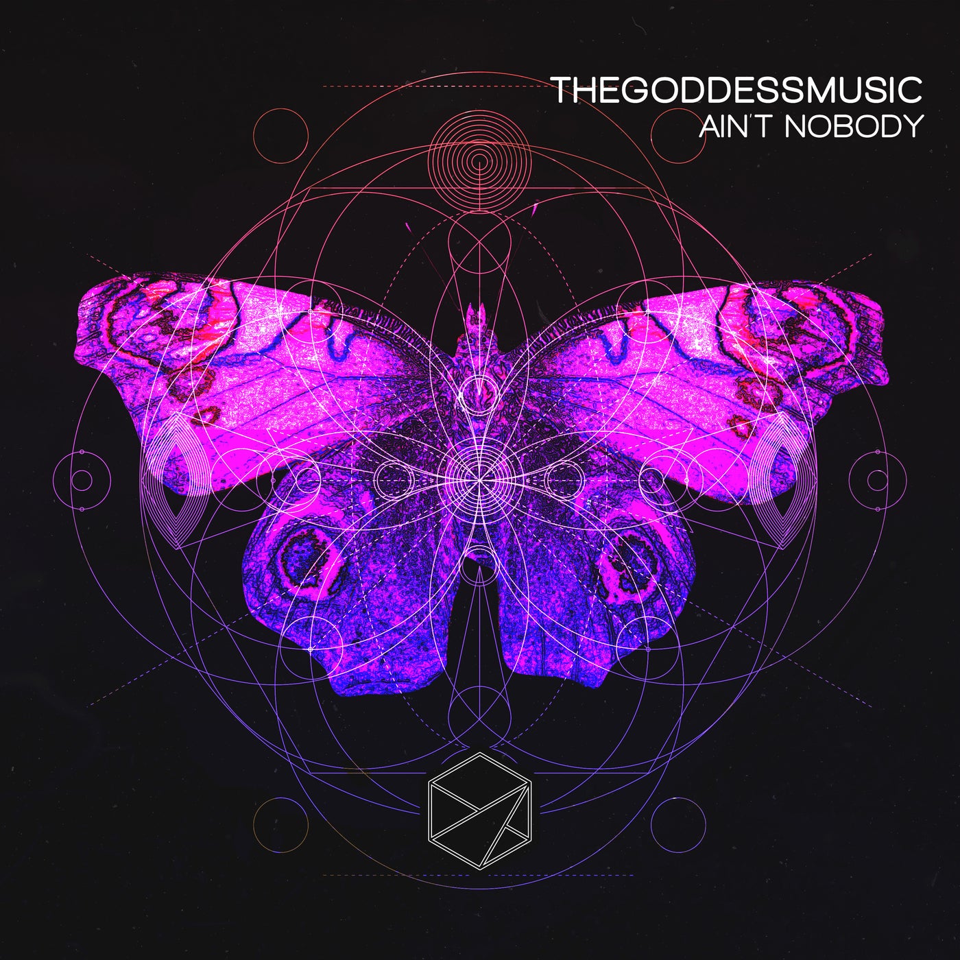 TheGoddessMusic –  Aint Nobody [Stealth Records]