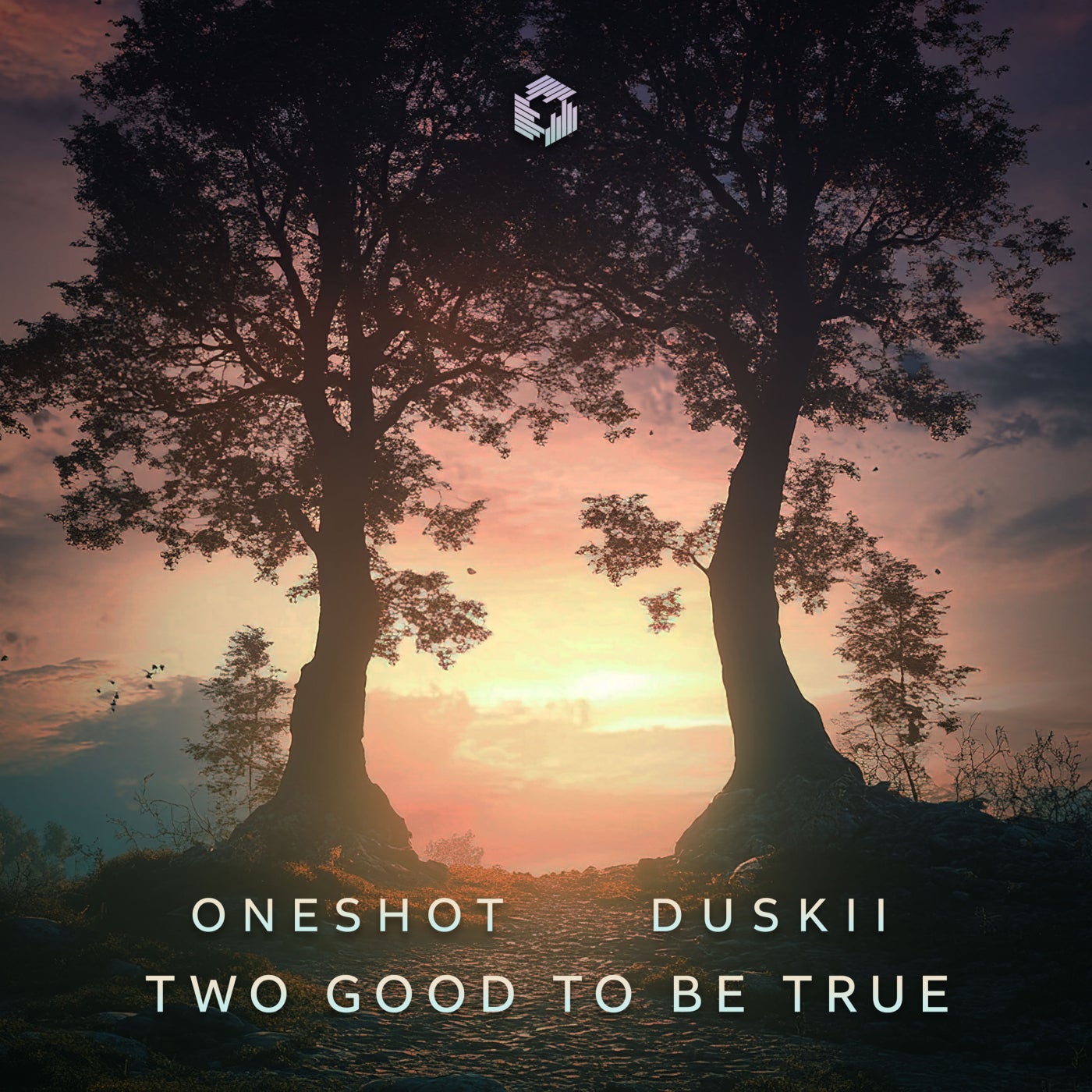 Two Good to Be True