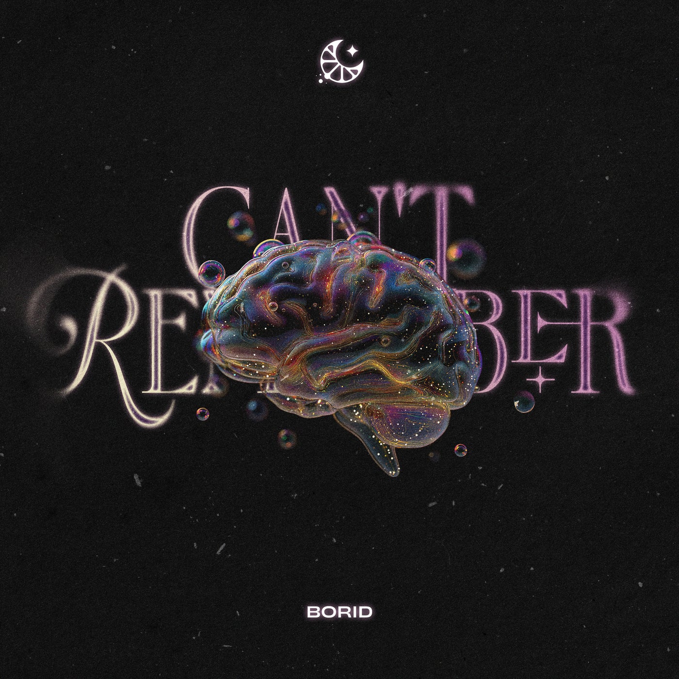 Can't Remember (Extended Mix)