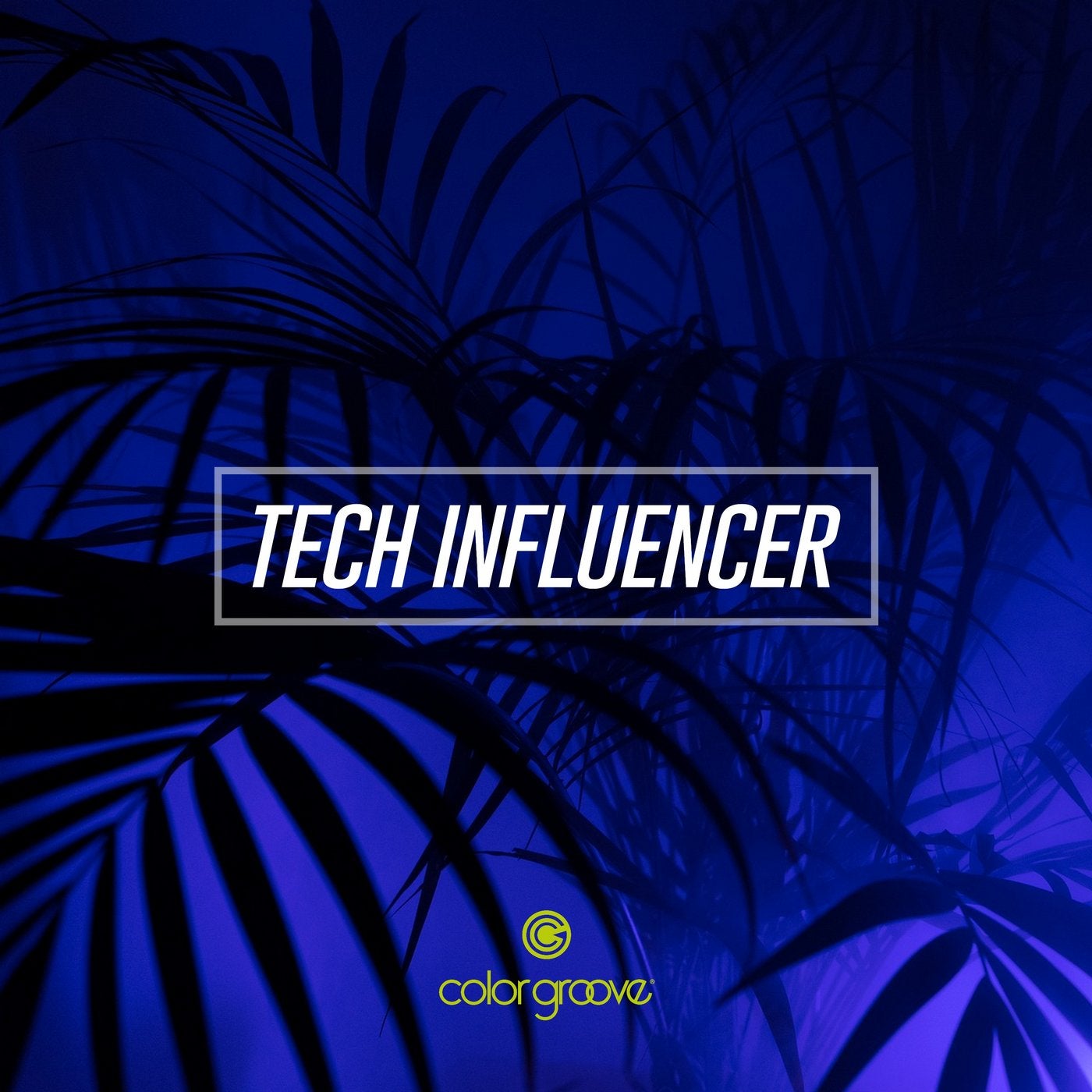 Tech Influencer