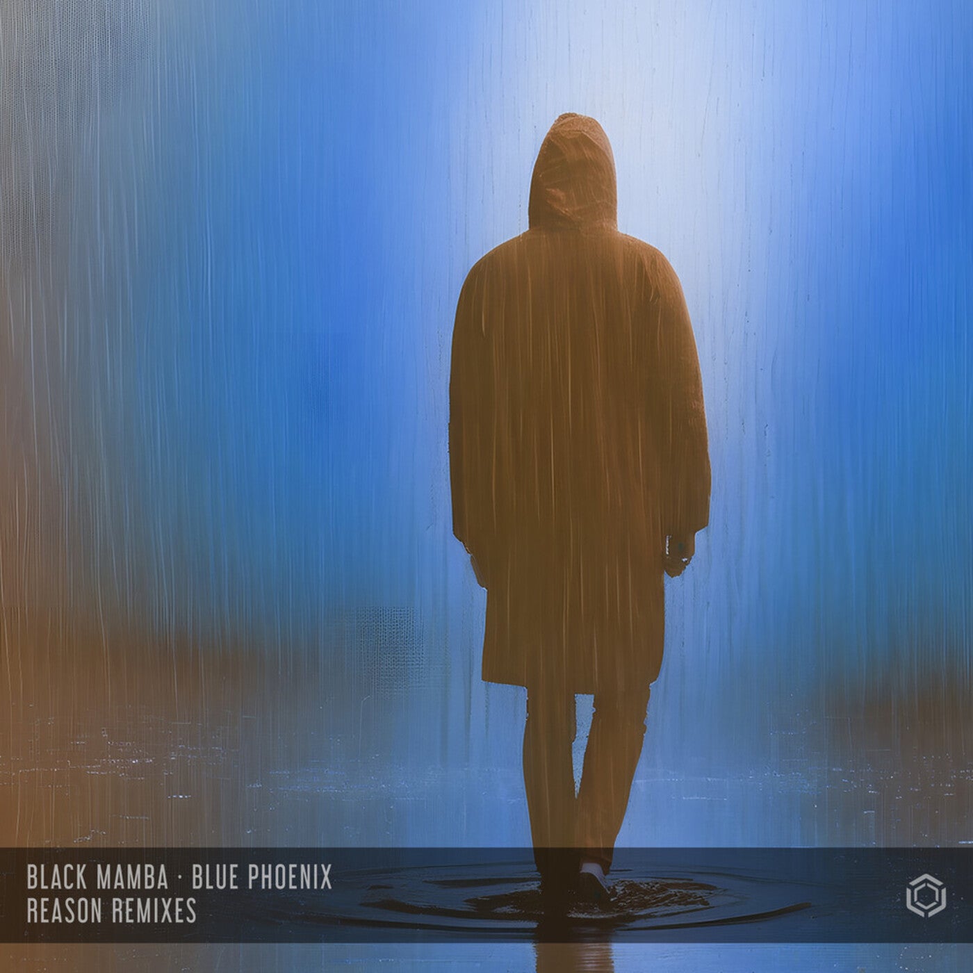 Reason (Remixes)