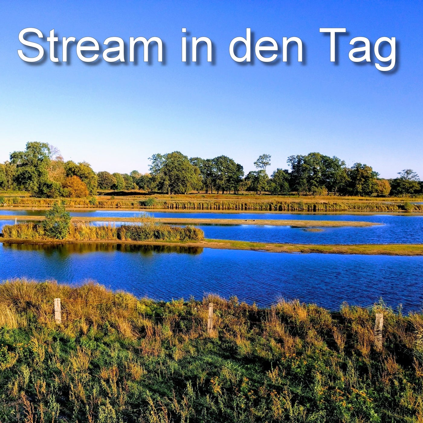 Stream in den Tag