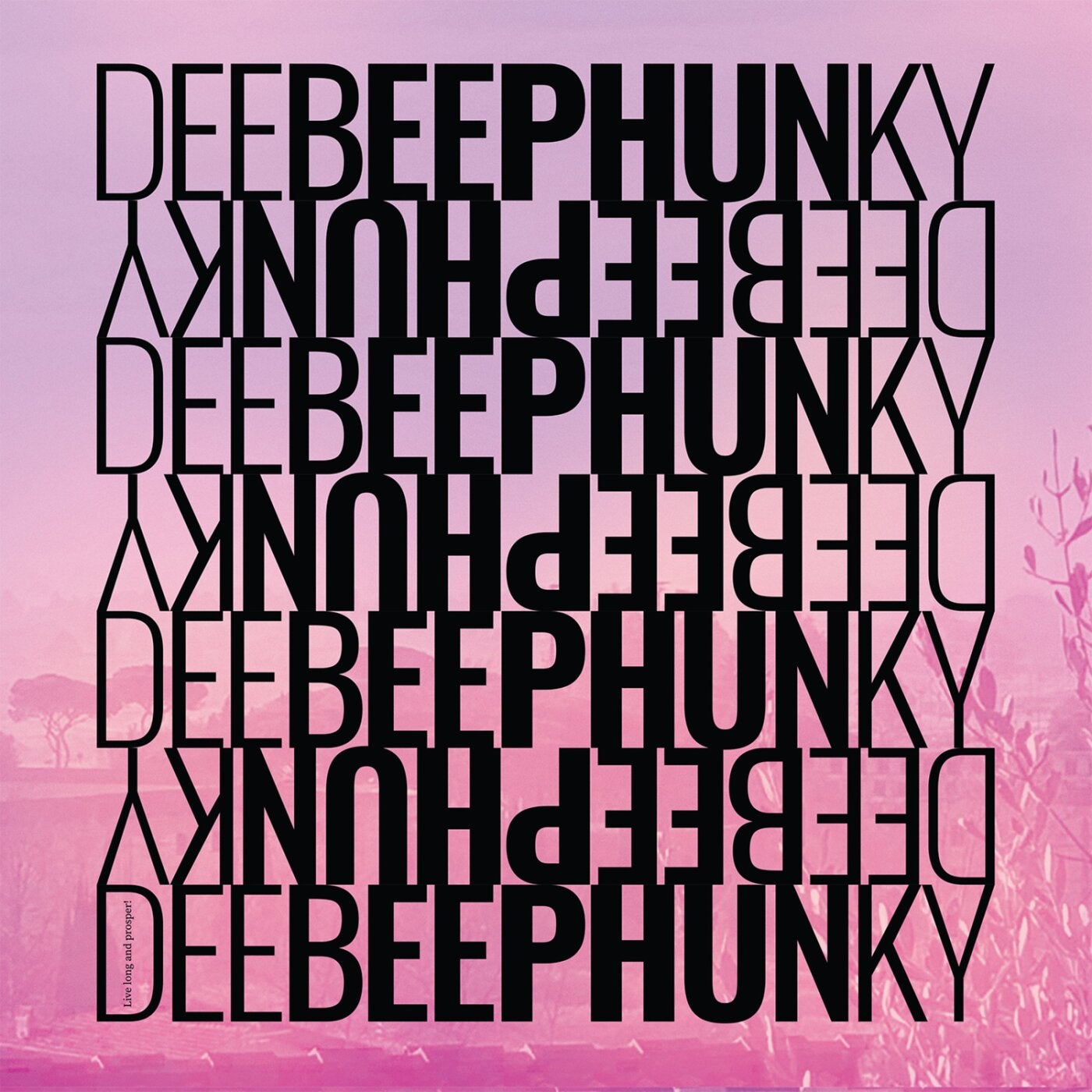 DeeBeePhunky