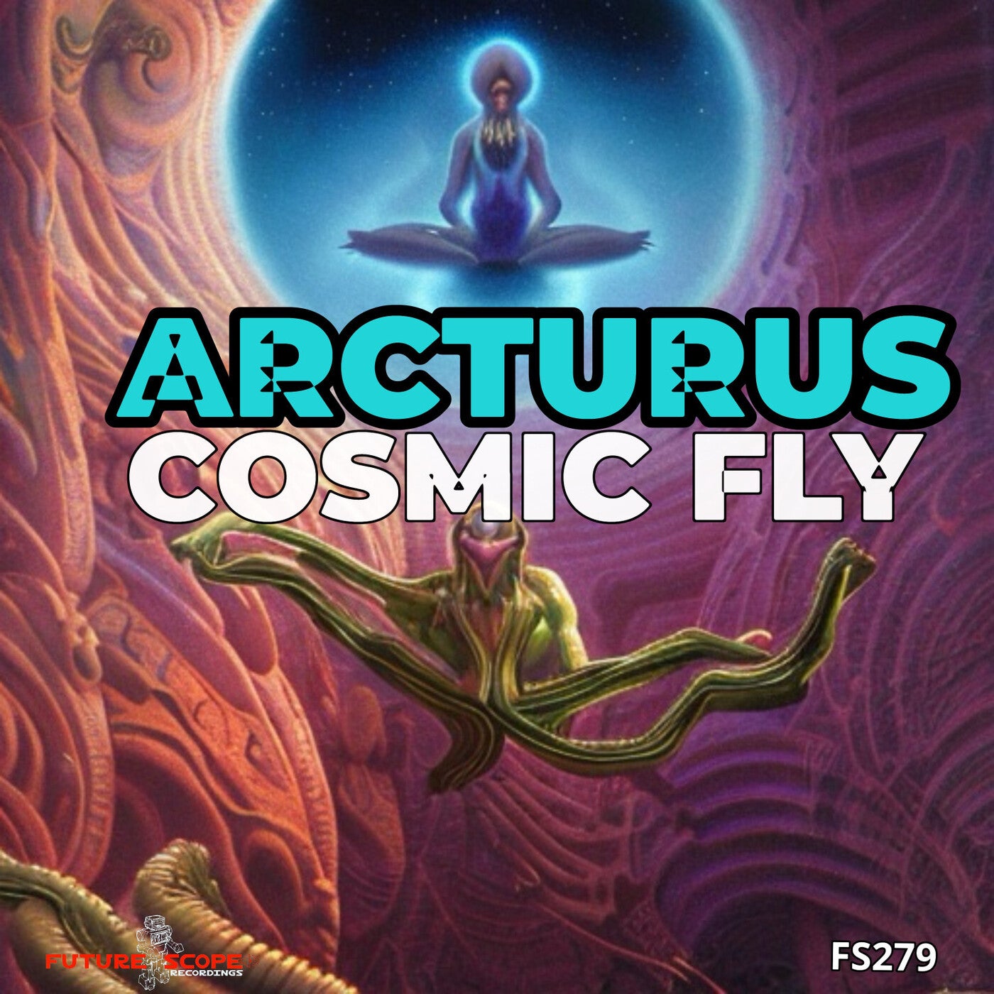 Cosmic Fly