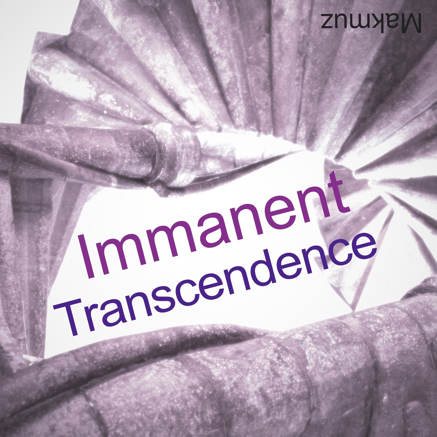 Immanent Transcendence