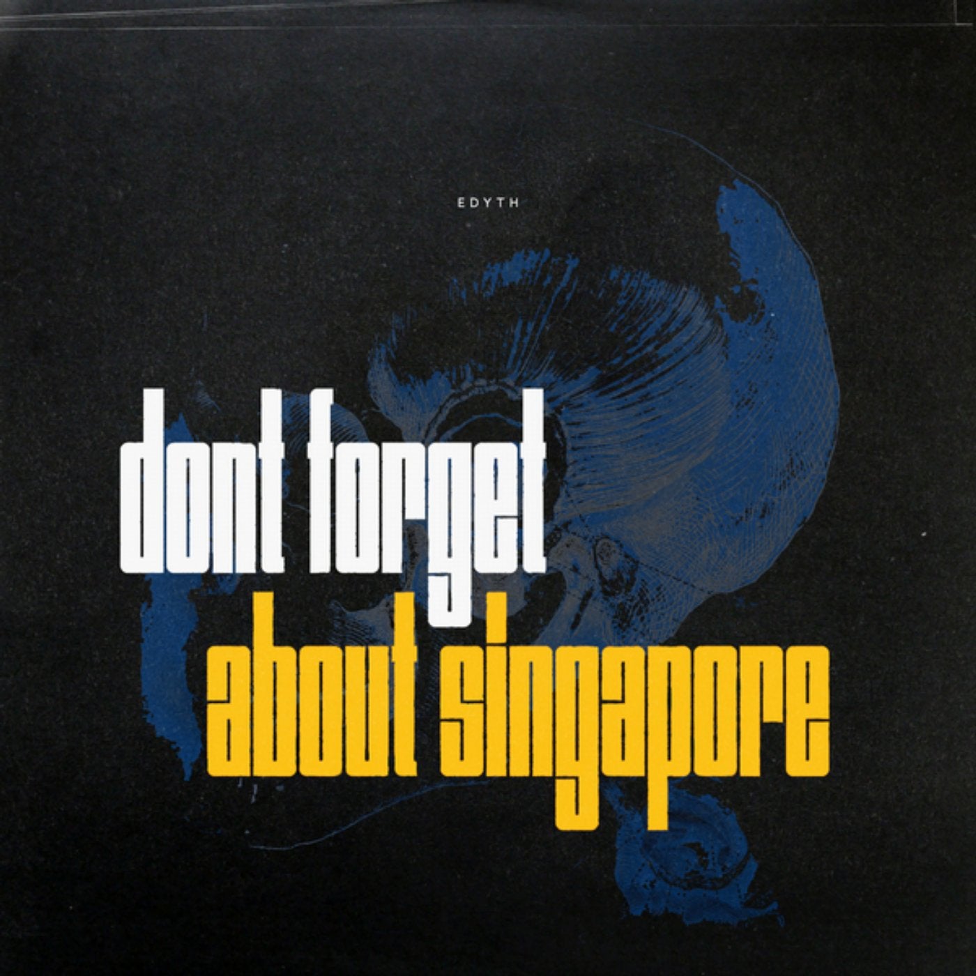 Don't Forget About Singapore