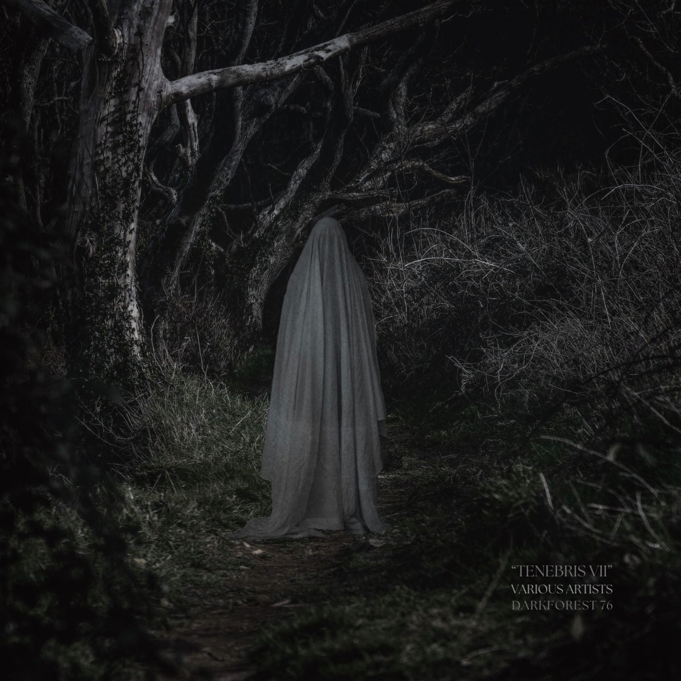 Tenebris VII