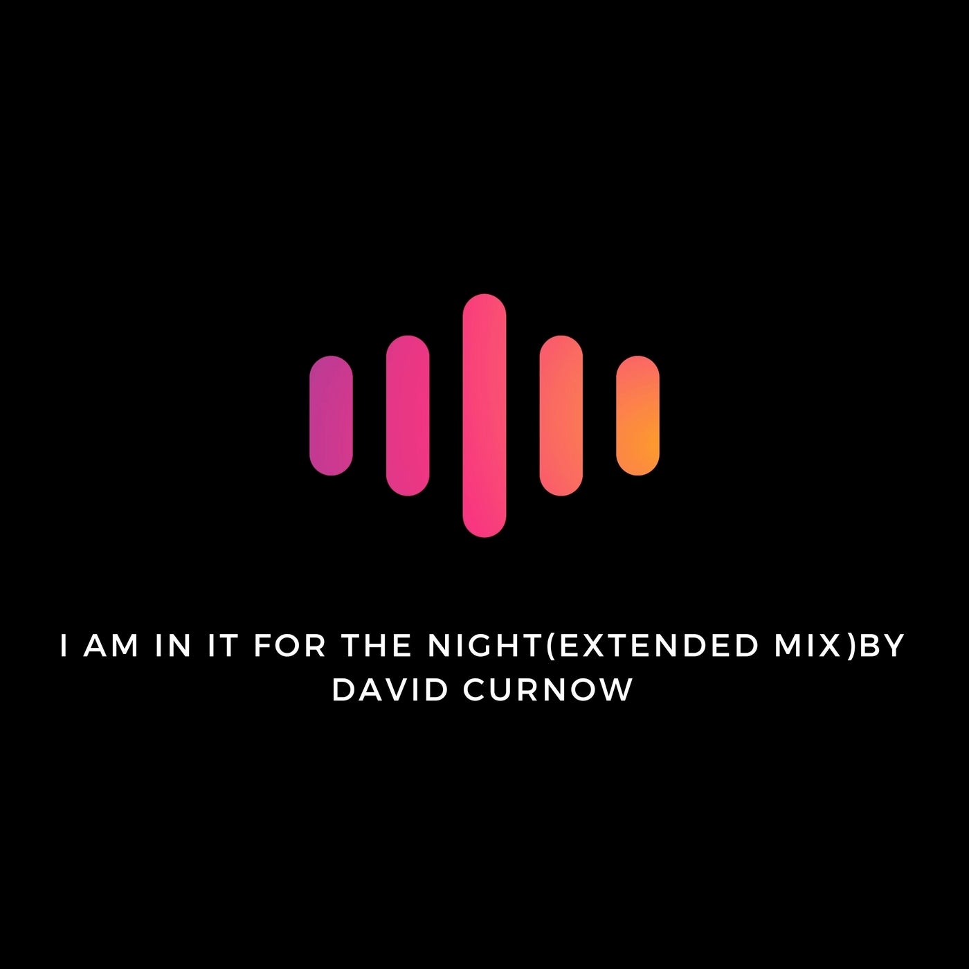I Am in It for the Night (Extended Mix)