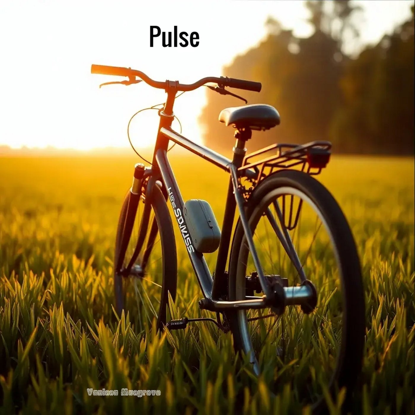 Pulse