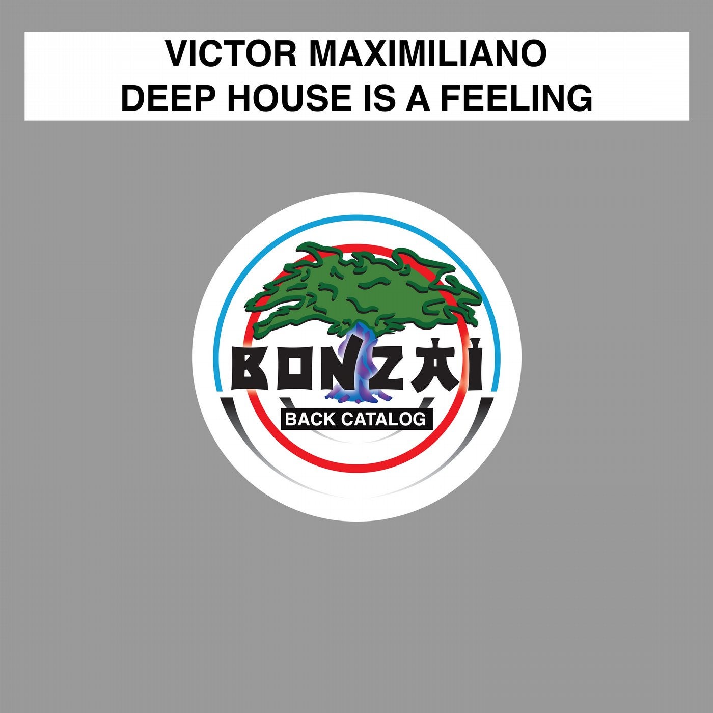 Deep House Is A Feeling