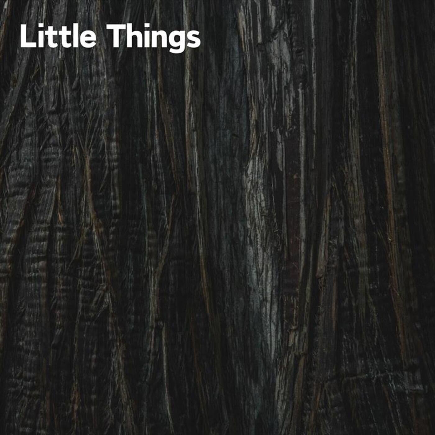 Little Things