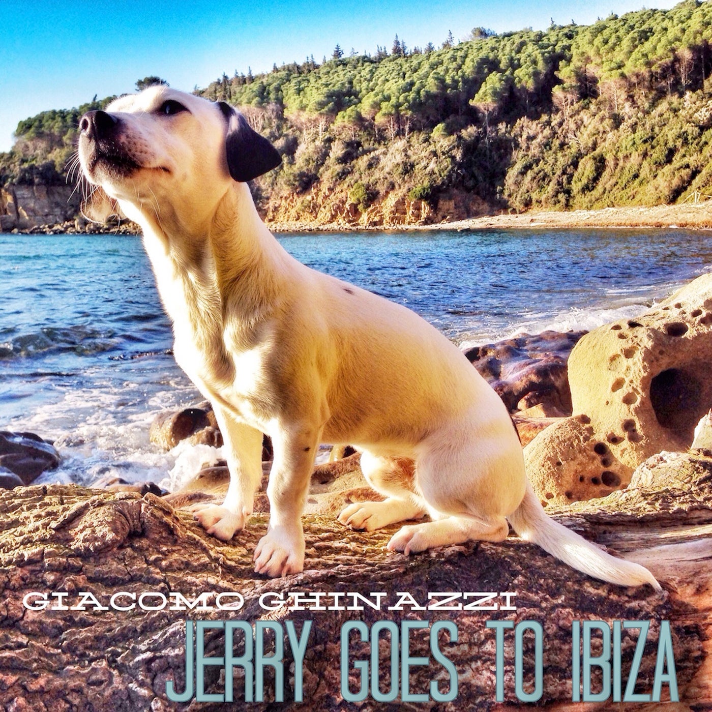 Jerry Goes to Ibiza