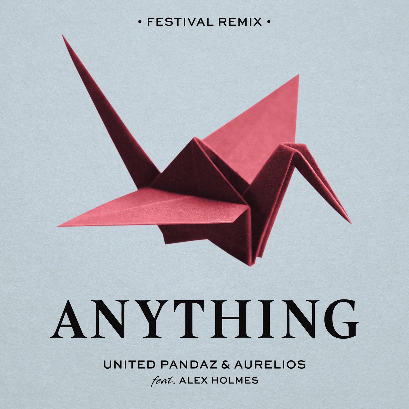 Anything - Festival Remix
