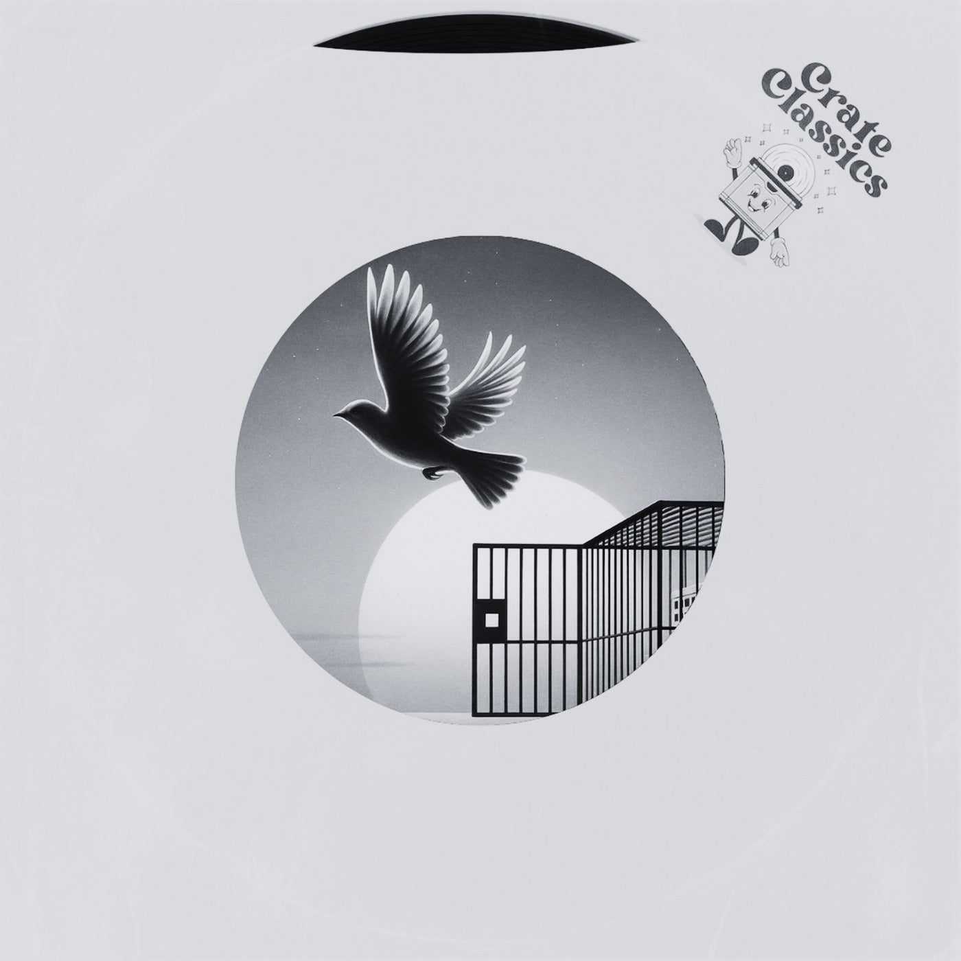 Born to be Free (Ozone Remix)