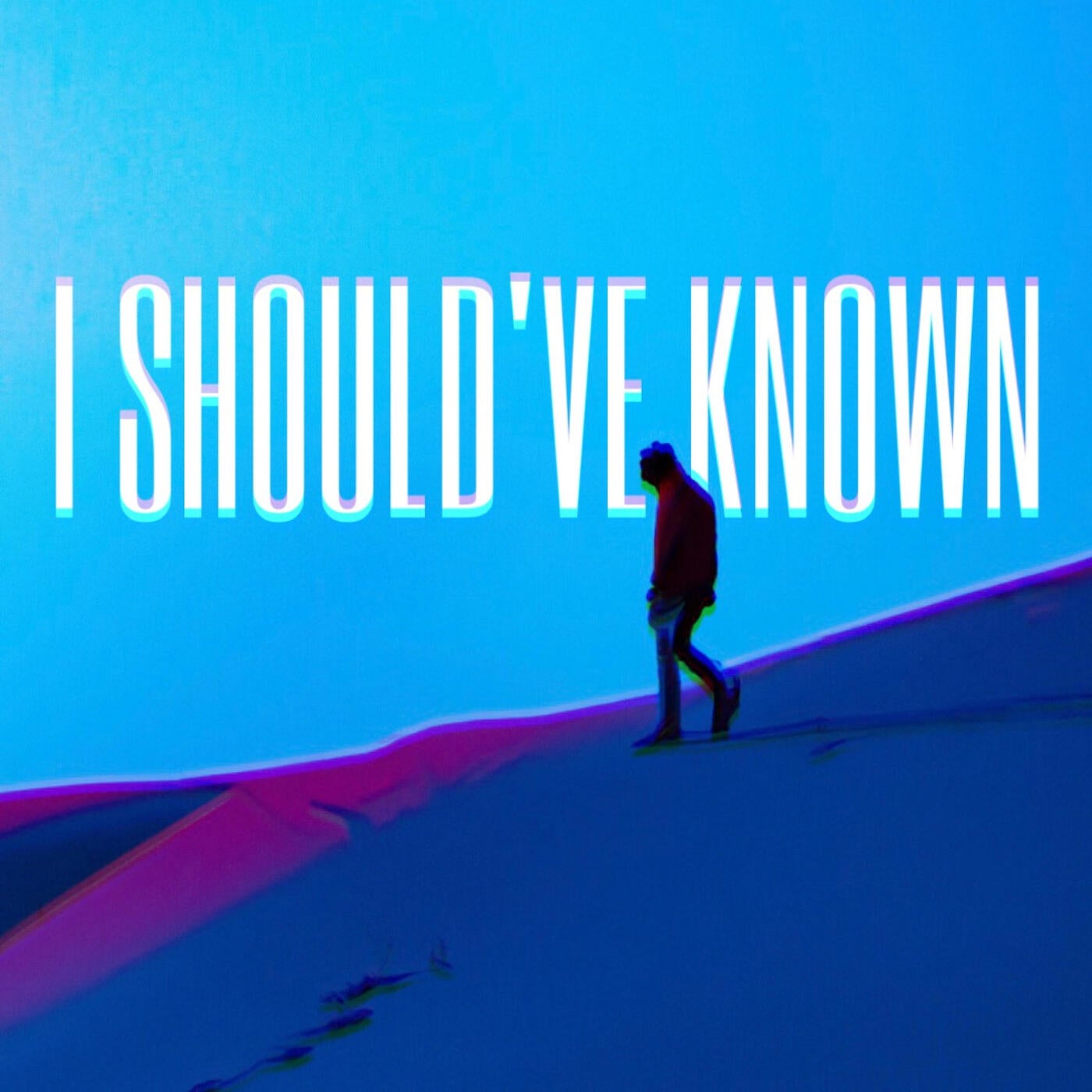 I SHOULD'VE KNOWN (Radio Edit)