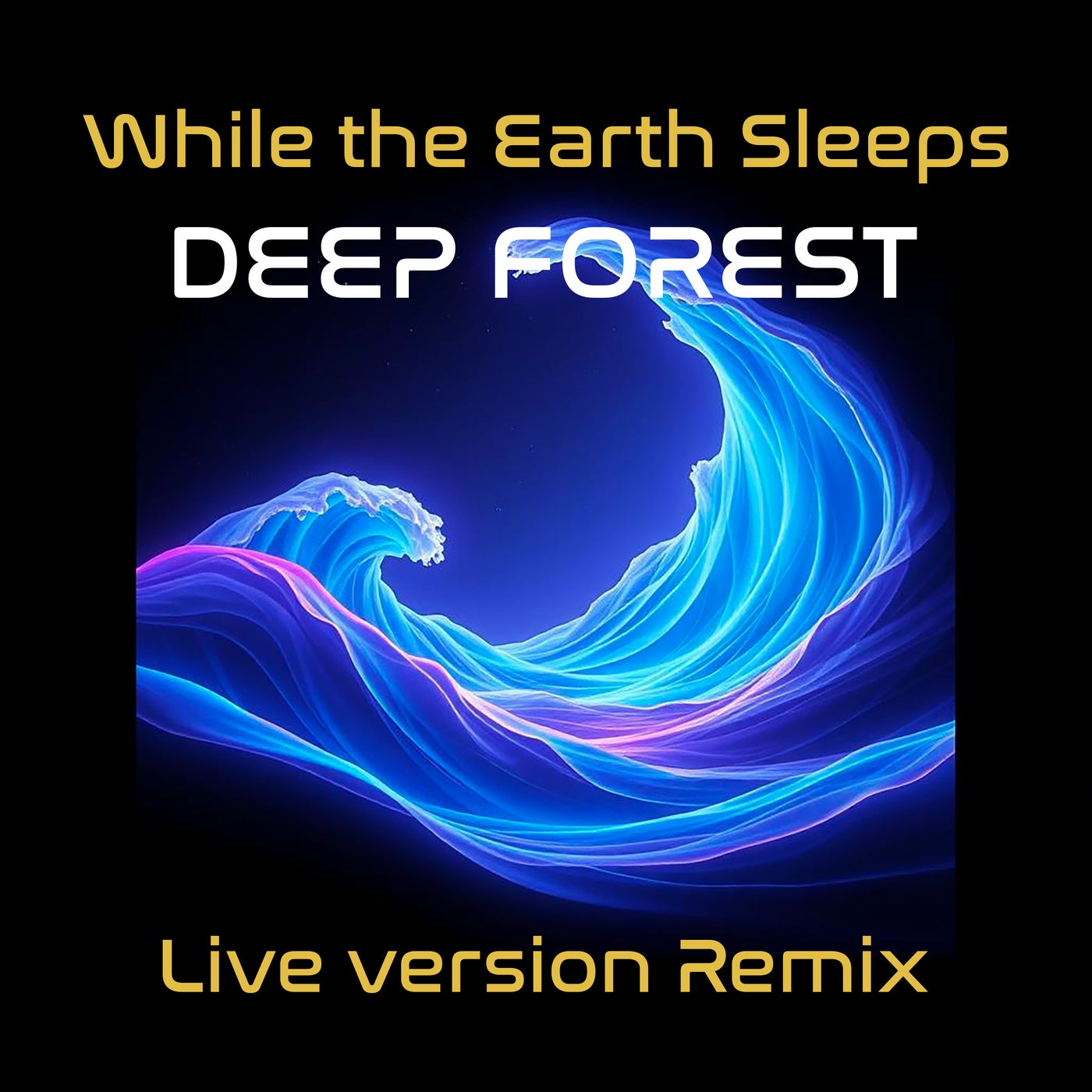 While the Earth Sleeps (Live Version Remix)