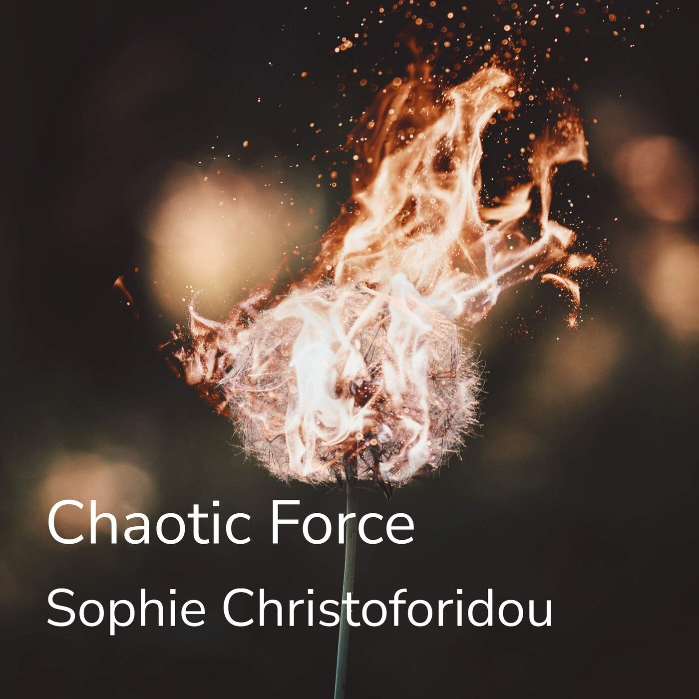Chaotic Force
