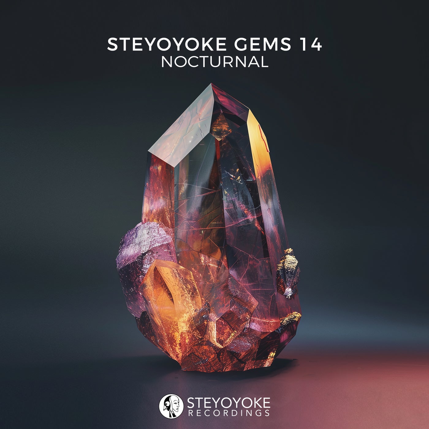 VA – Steyoyoke Gems Nocturnal 14 SYYKCOMP016 FLAC VA – Steyoyoke Gems Nocturnal 14 SYYKCOMP016 FLAC