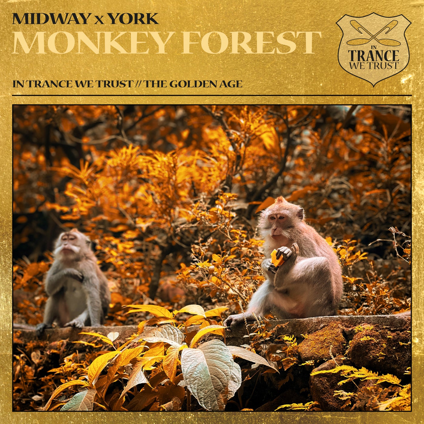 Monkey Forest