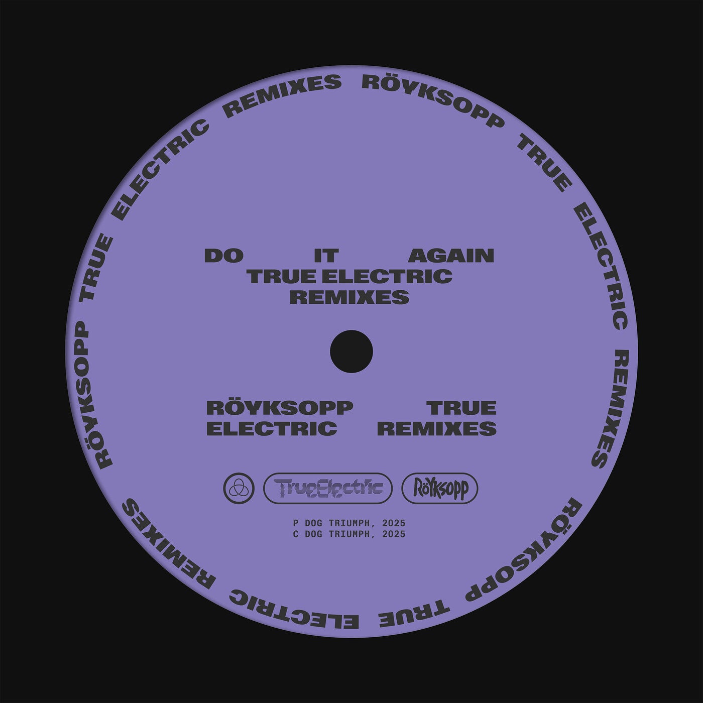 Do It Again (True Electric Remixes)