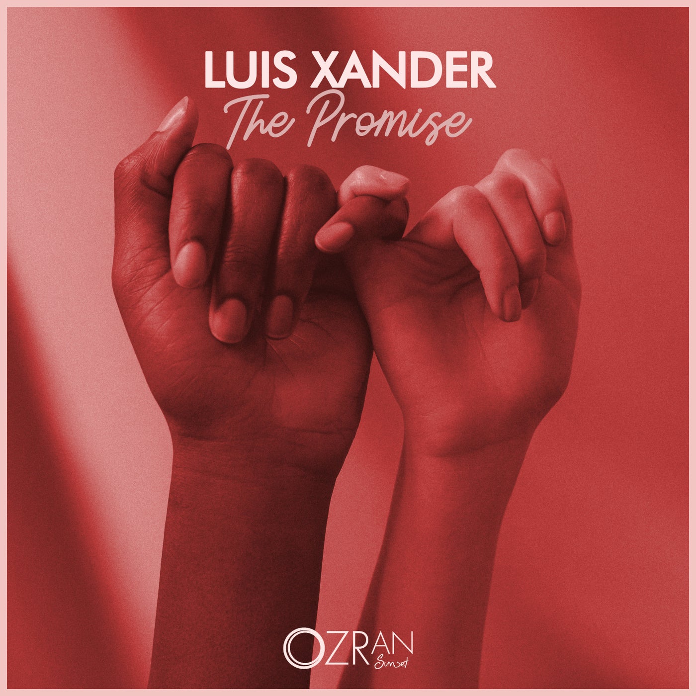 The Promise