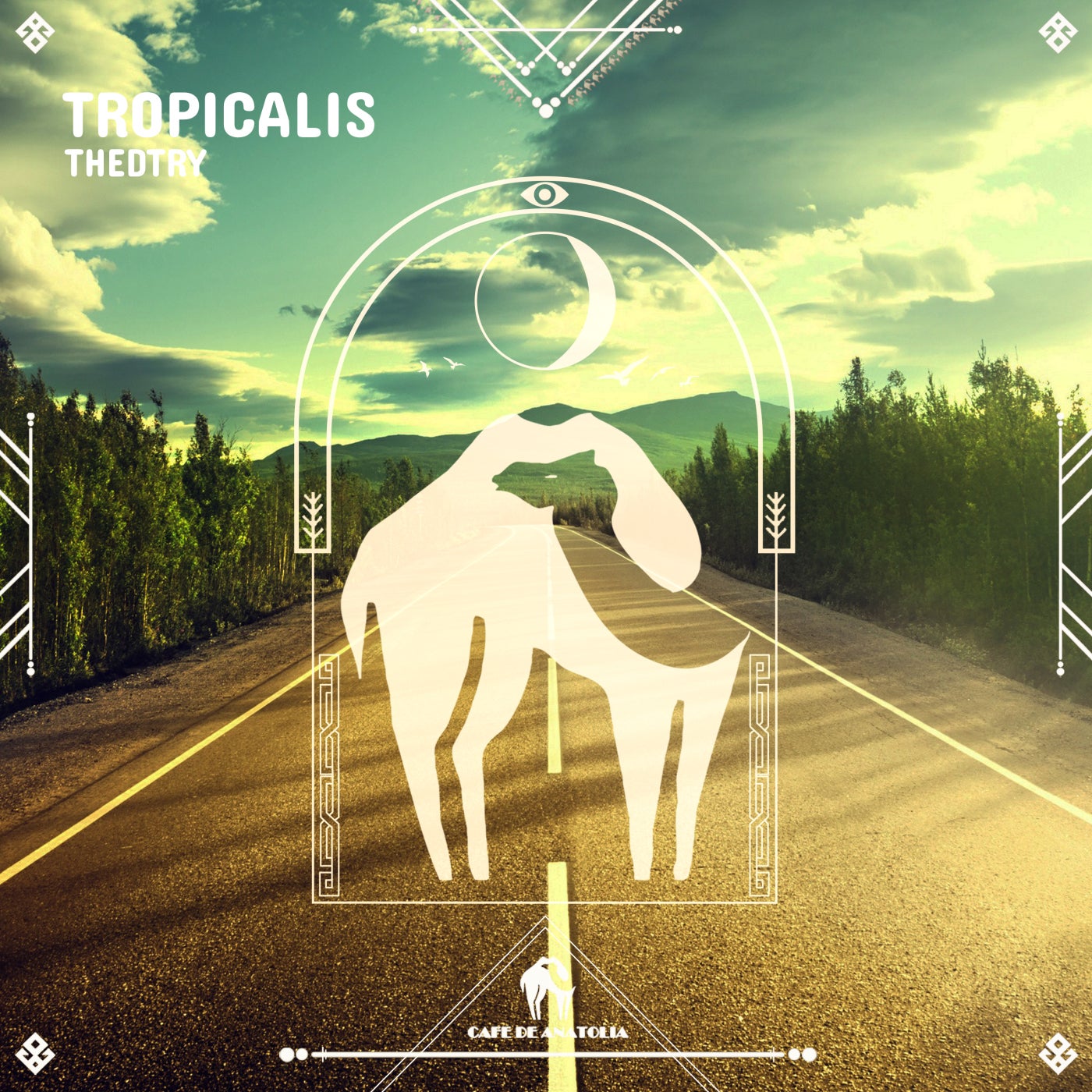 Tropicalis