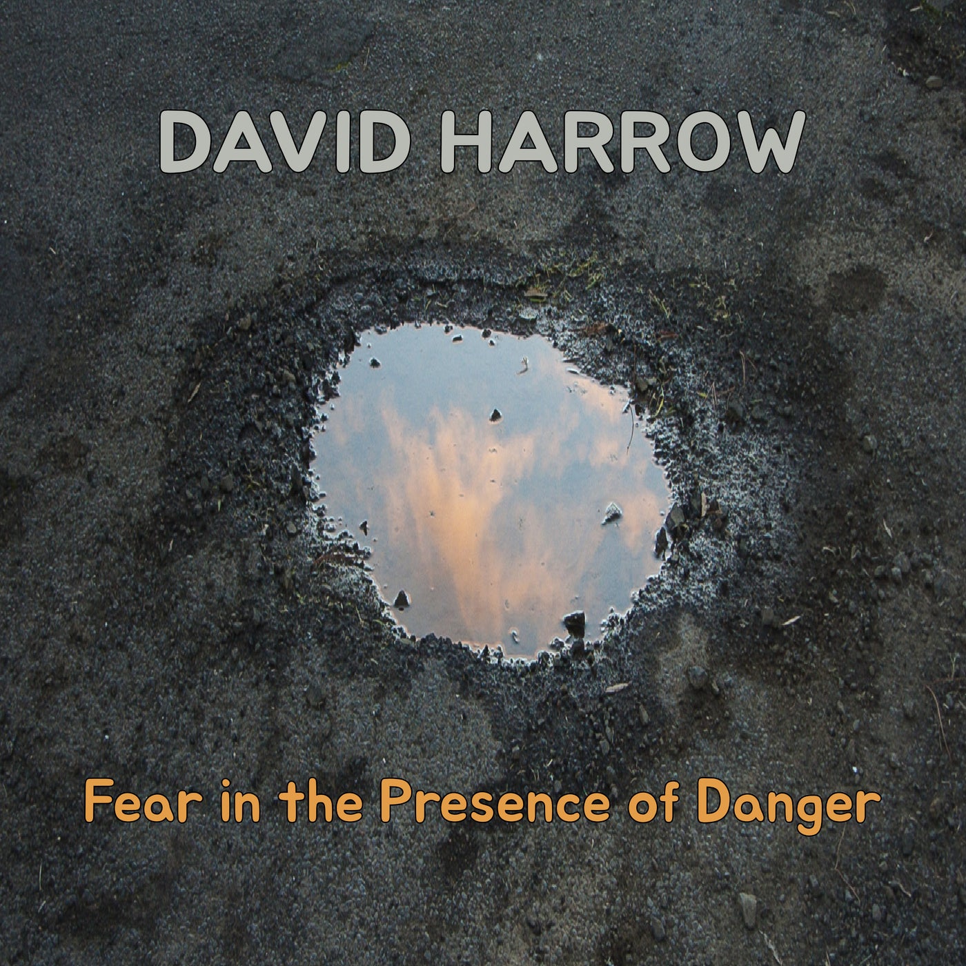 Fear in the Presence of Danger