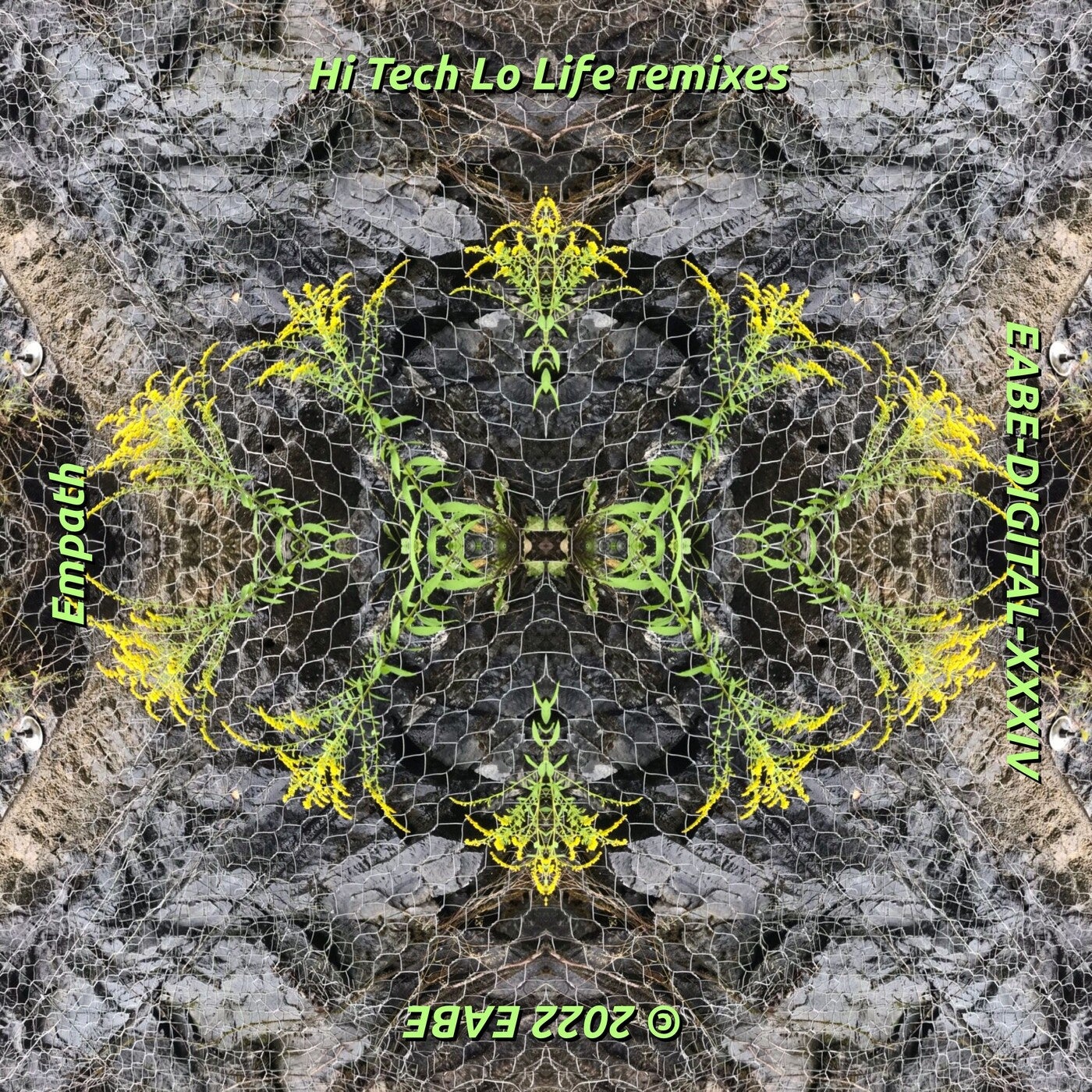 Hi Tech Lo Life Remixes