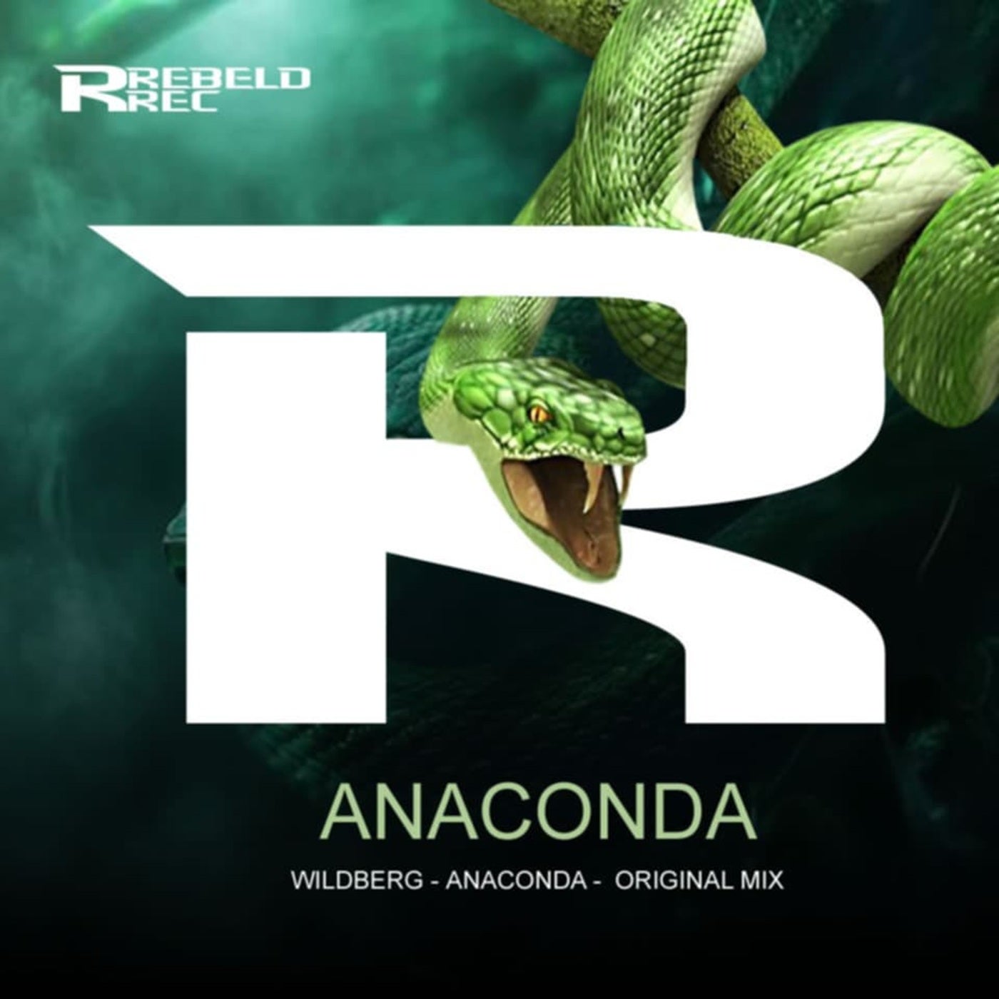 Anaconda