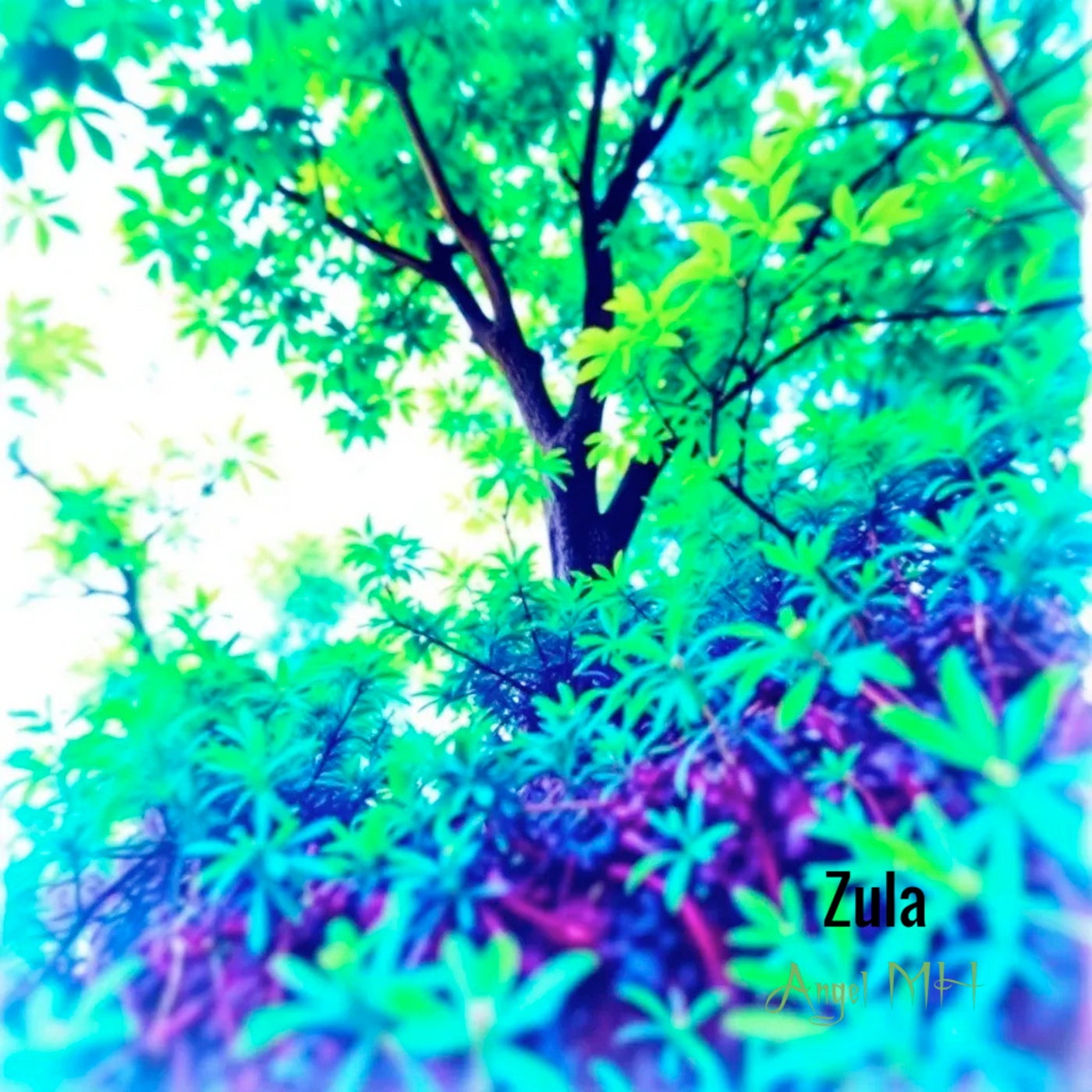 Zula