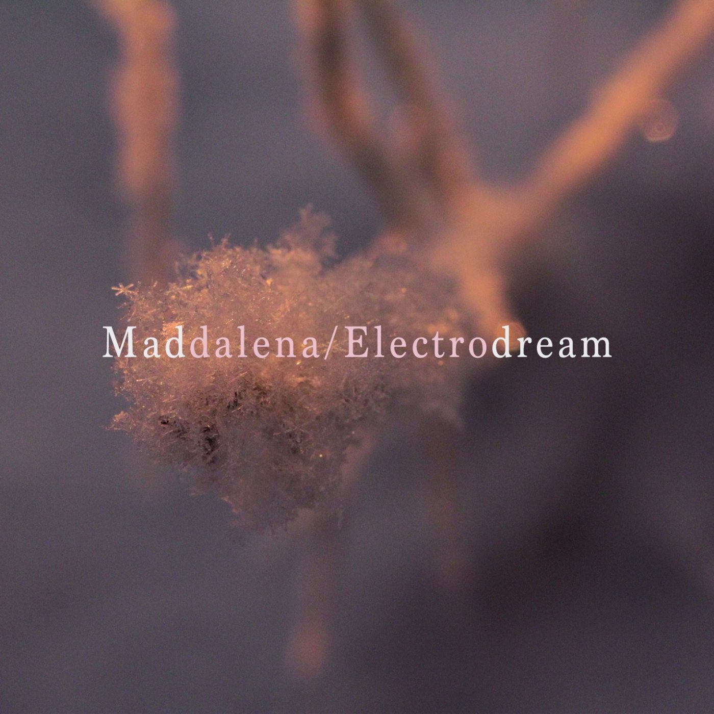 Electrodream