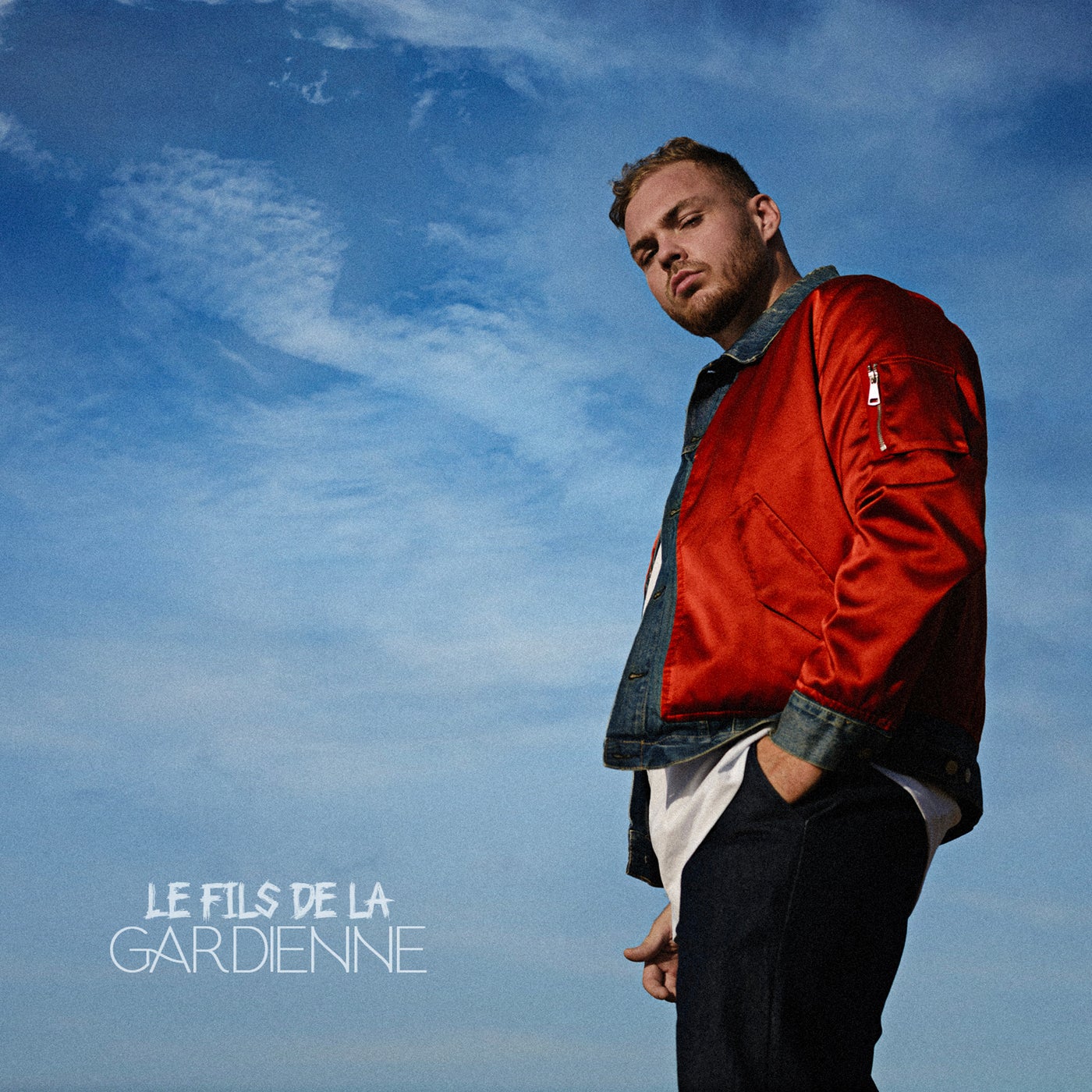 Cover art for Le fils de la gardienne