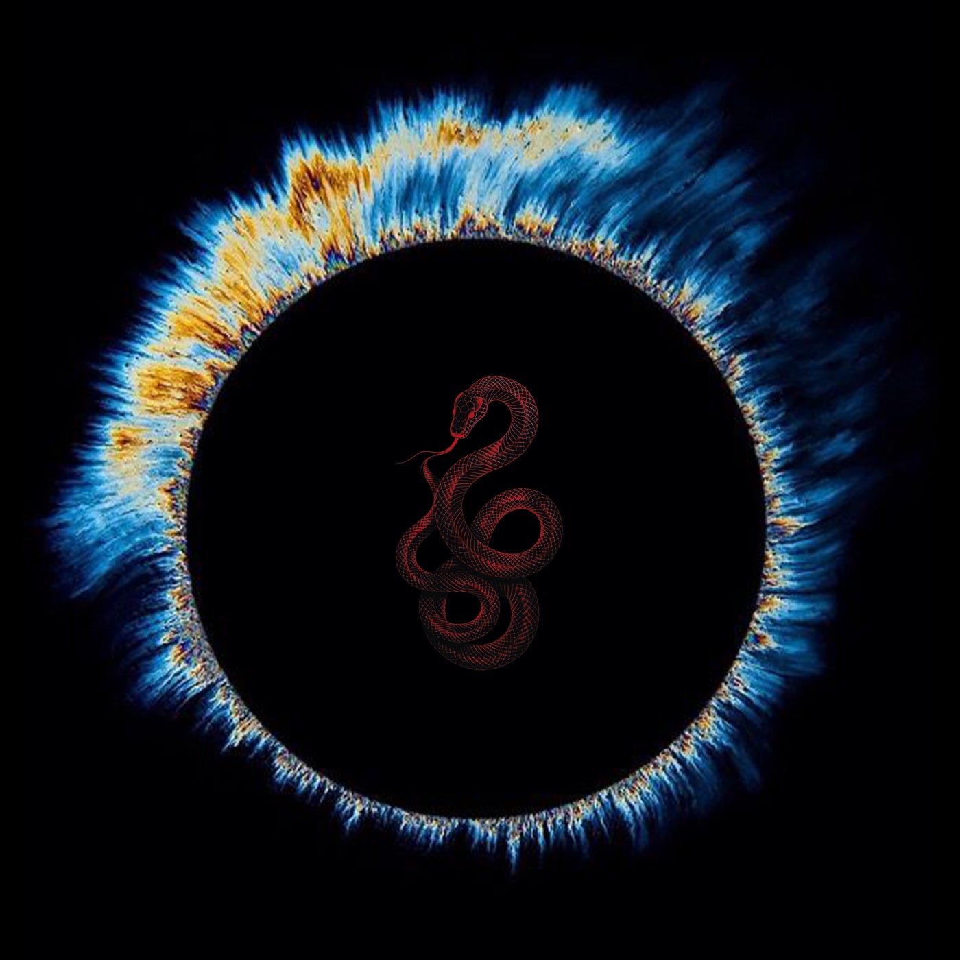 Reborn
