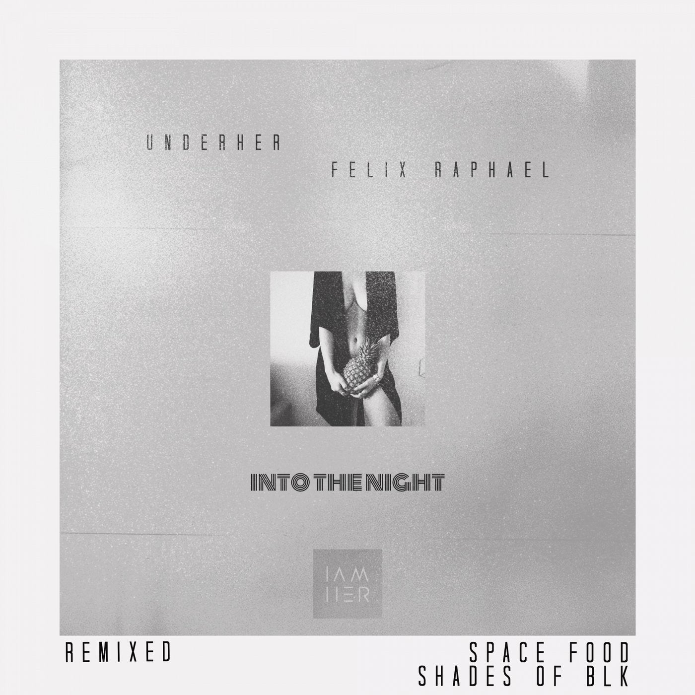 Into the Night (Remixes)