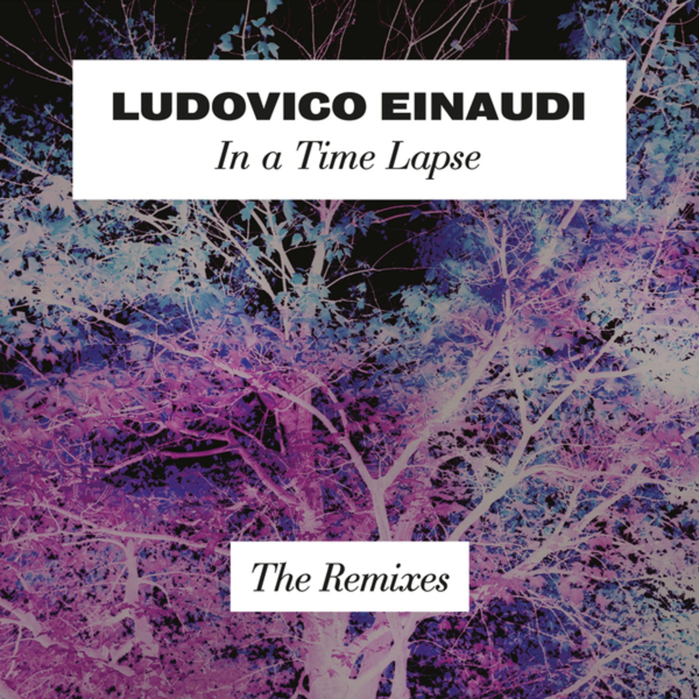 Ludovico Einaudi - Experience album artwork