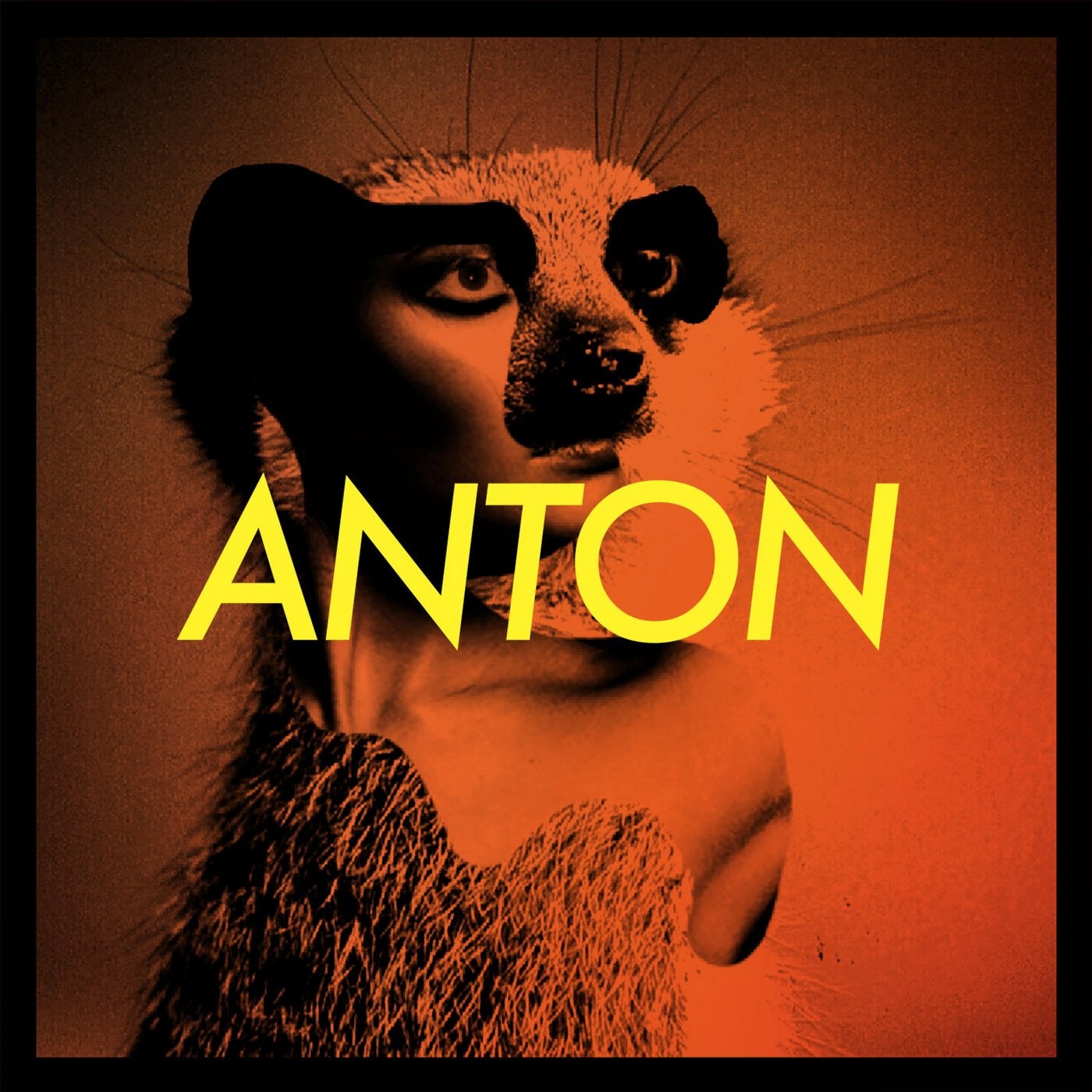 Anton