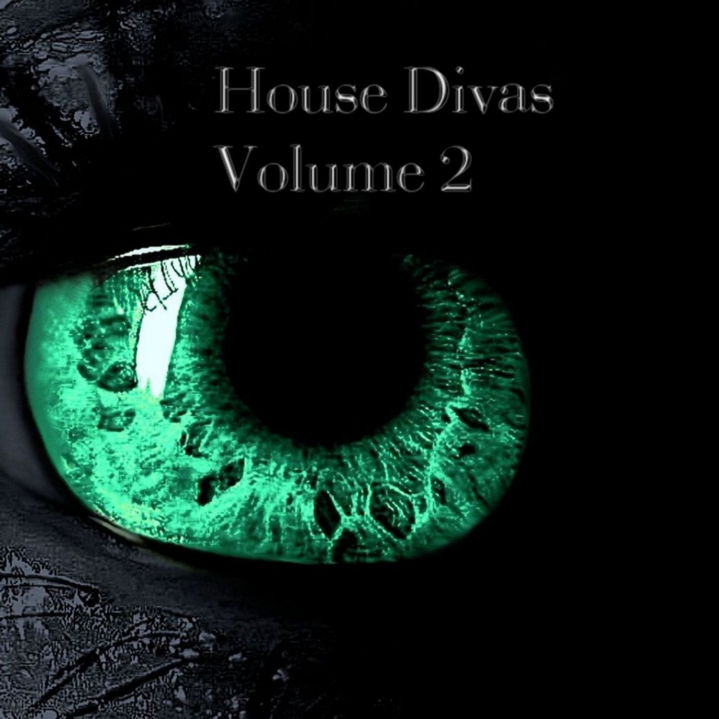 House Divas, Vol. 2