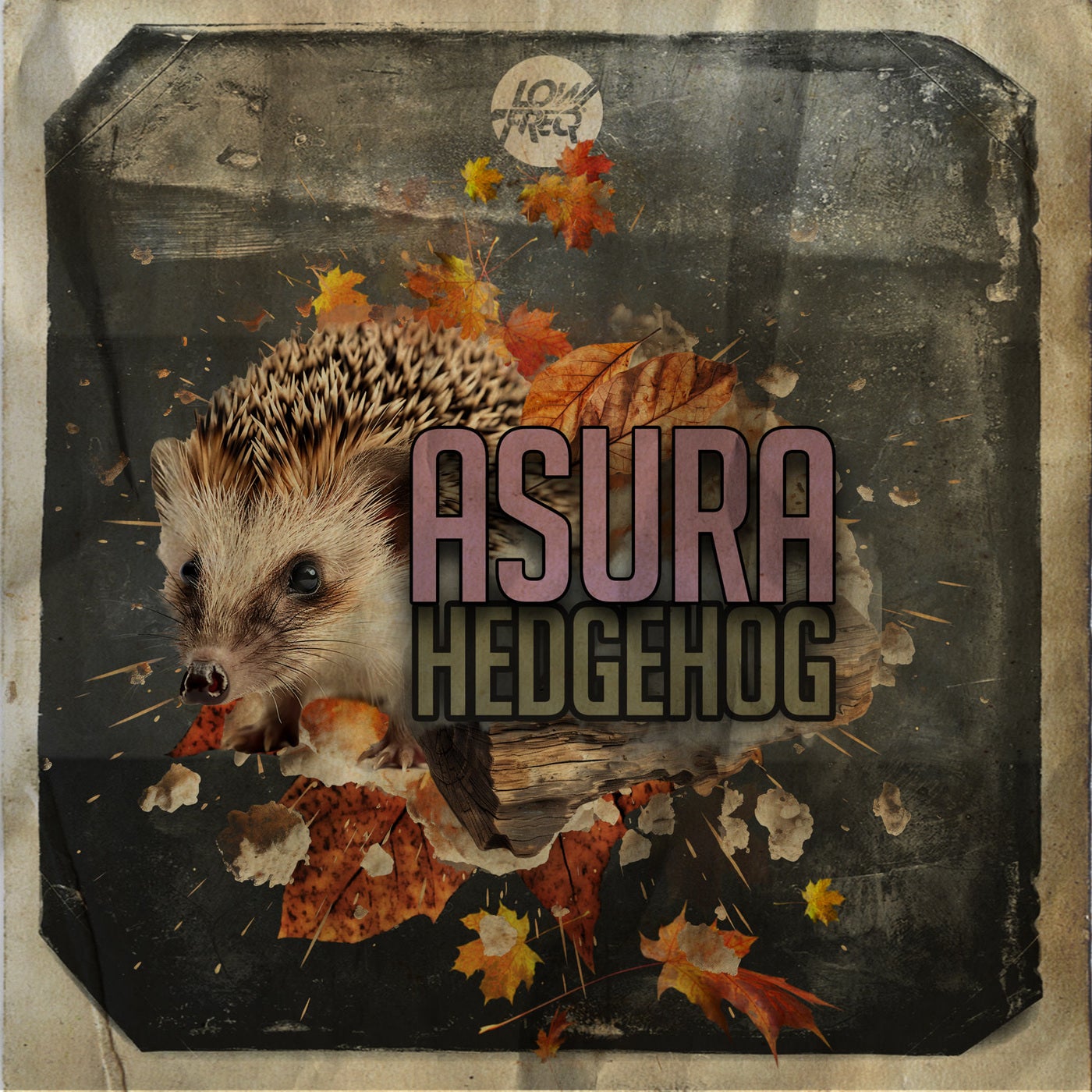 Hedgehog