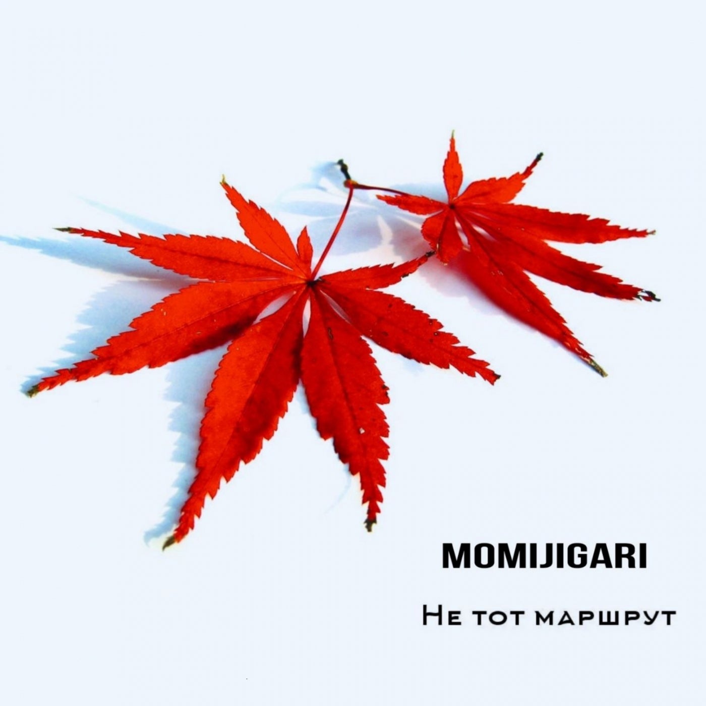 Momiji