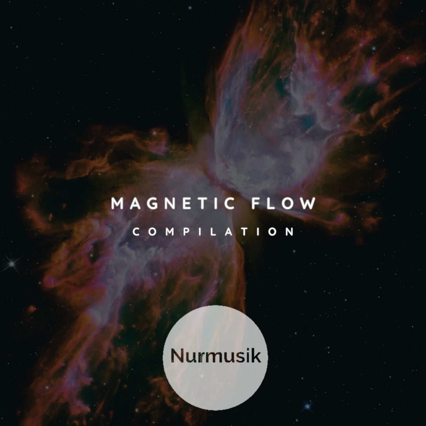 Magnetic Flow