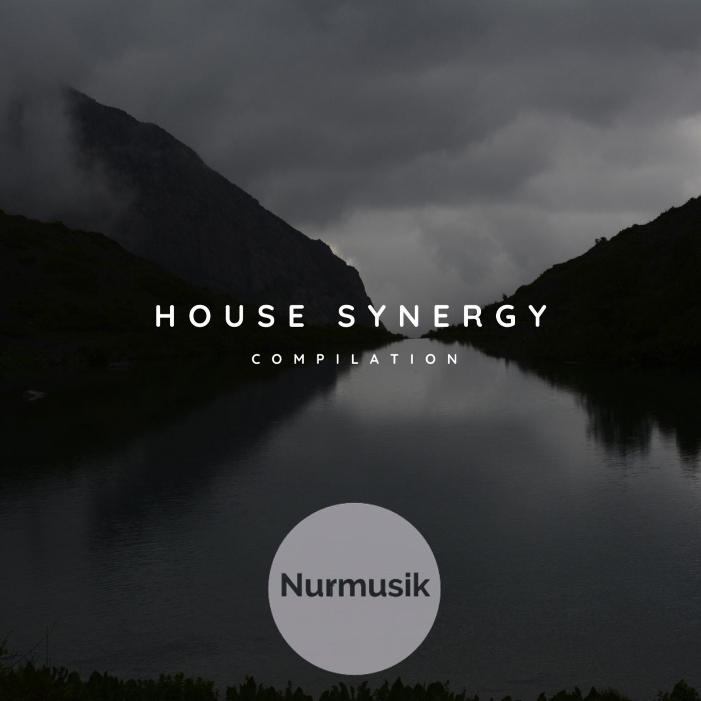 House Synergy