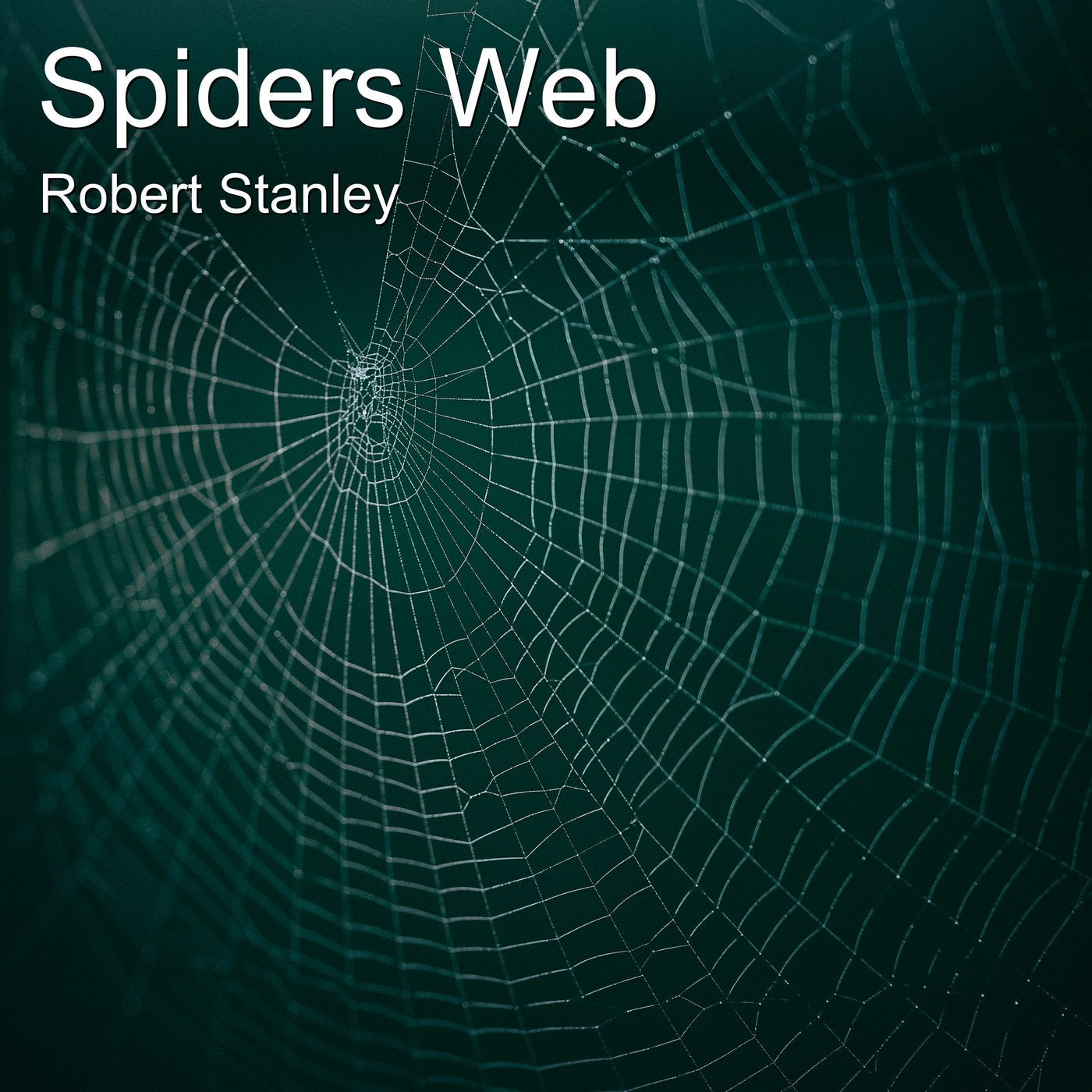 Spiders Web