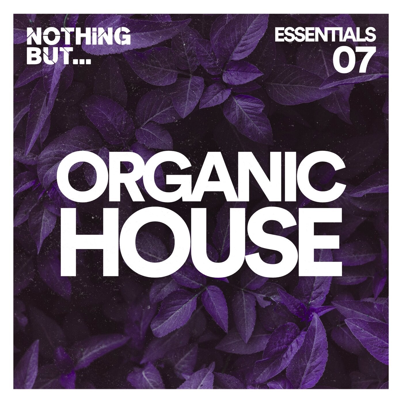Nothing But... Organic House Essentials, Vol. 07