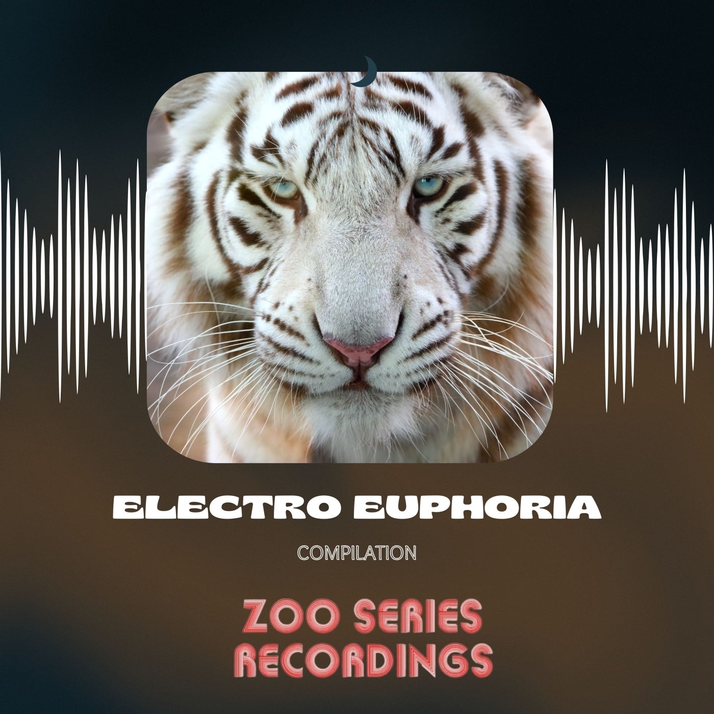 Electro Euphoria