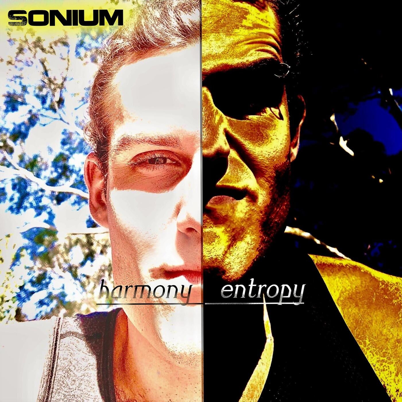 harmony and entropy