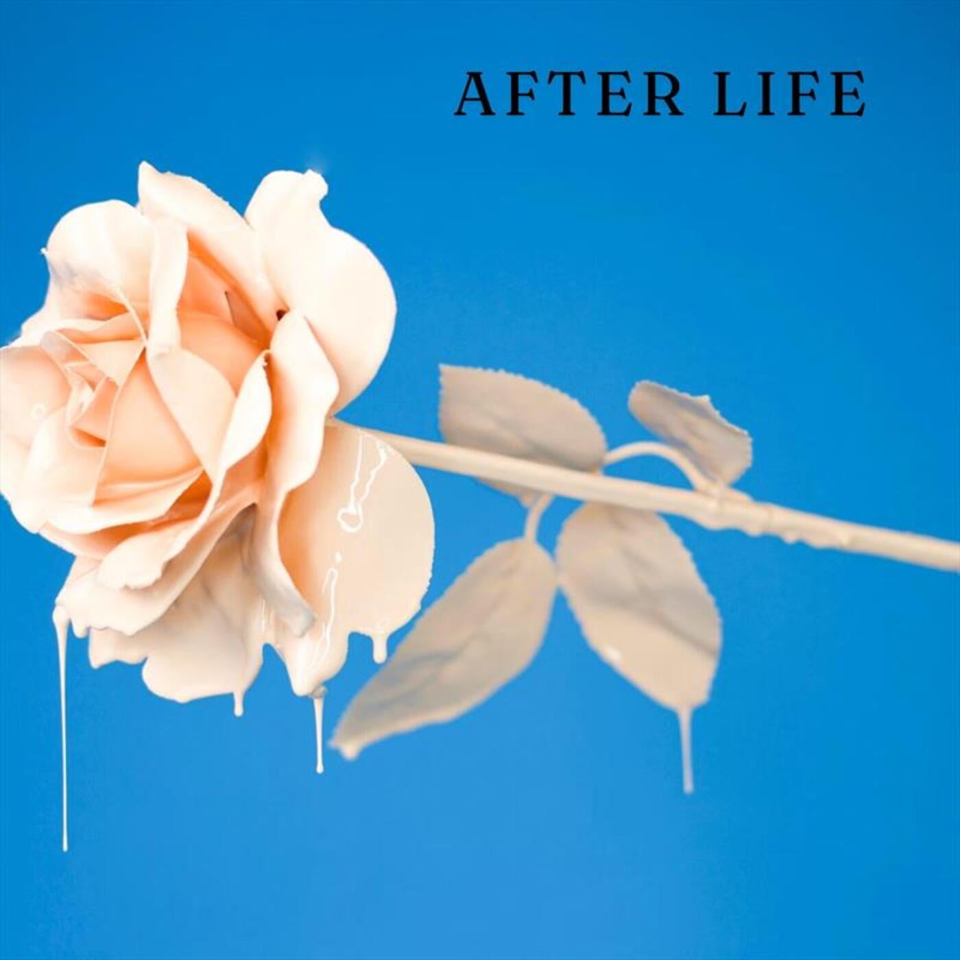 After Life