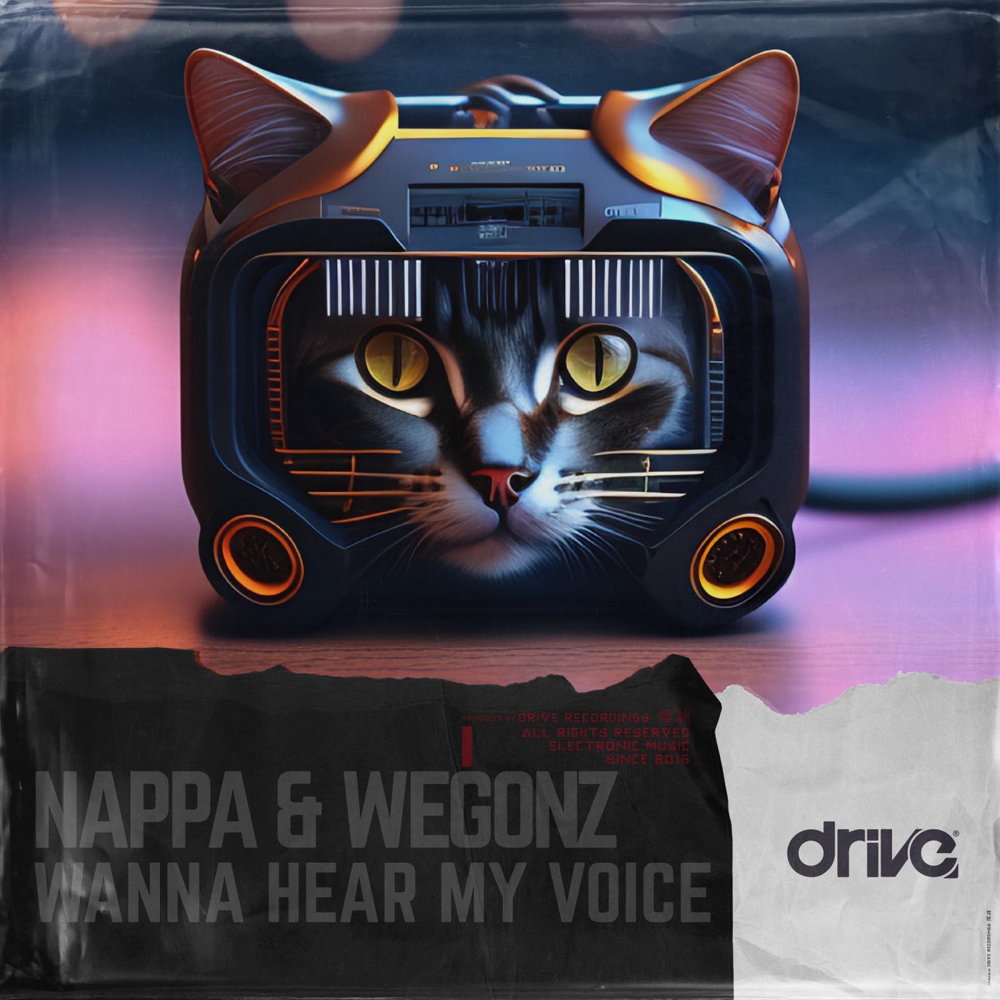 Wanna Hear My Voice (Original Mix)